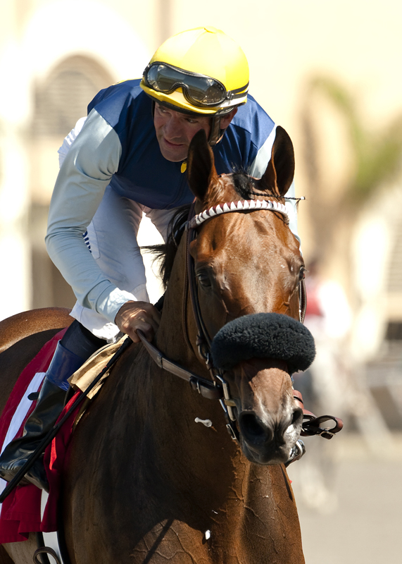 Blue Tone 8-30-2014
