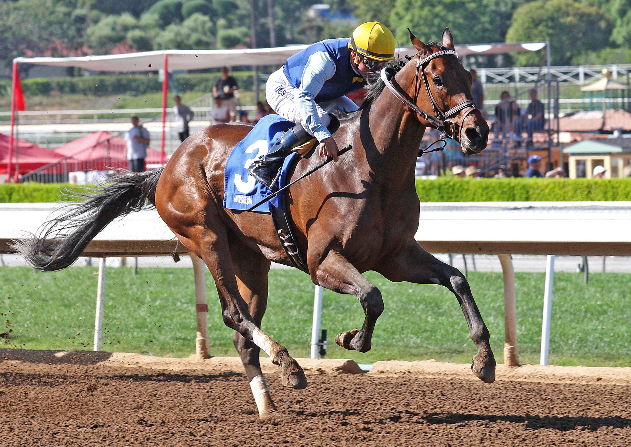 Blue Tone wins the Santana Mile