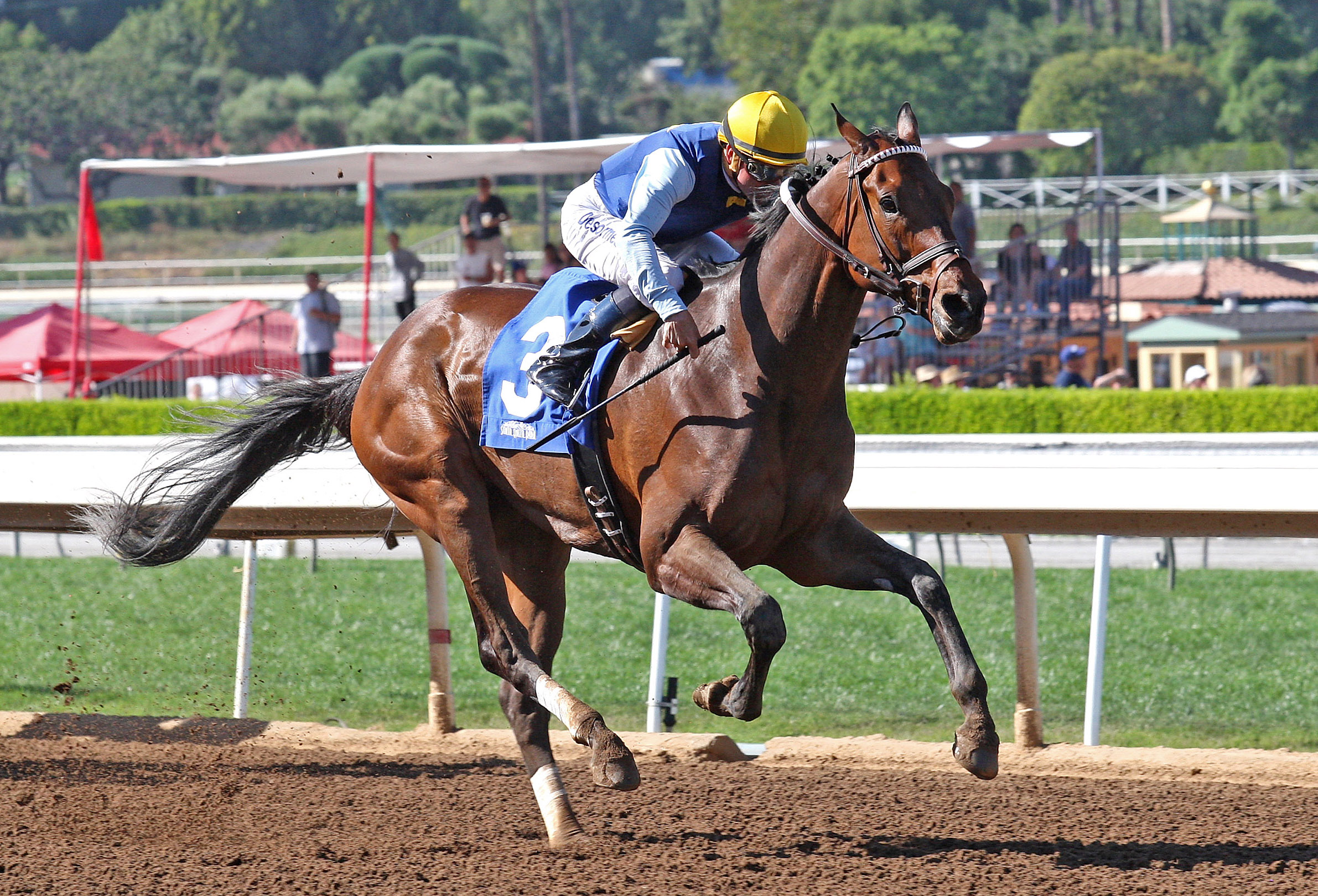 Blue Tone wins the 2015 Santana Mile