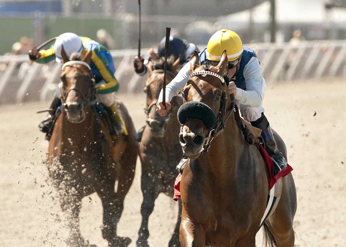 Blue Tone wins the Harry F. Brubaker
