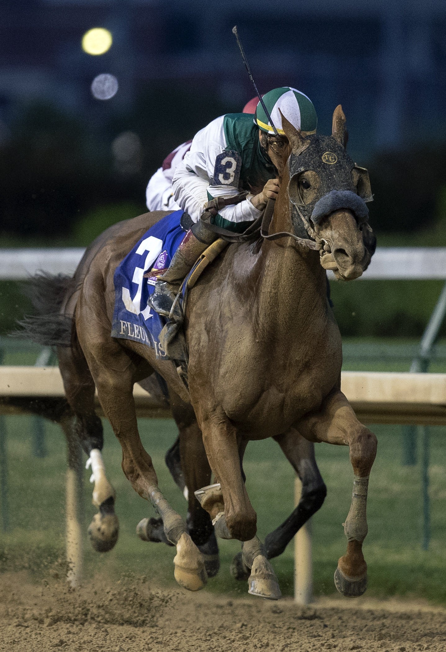 Blue Prize wins the 2018 Fleur de Lis