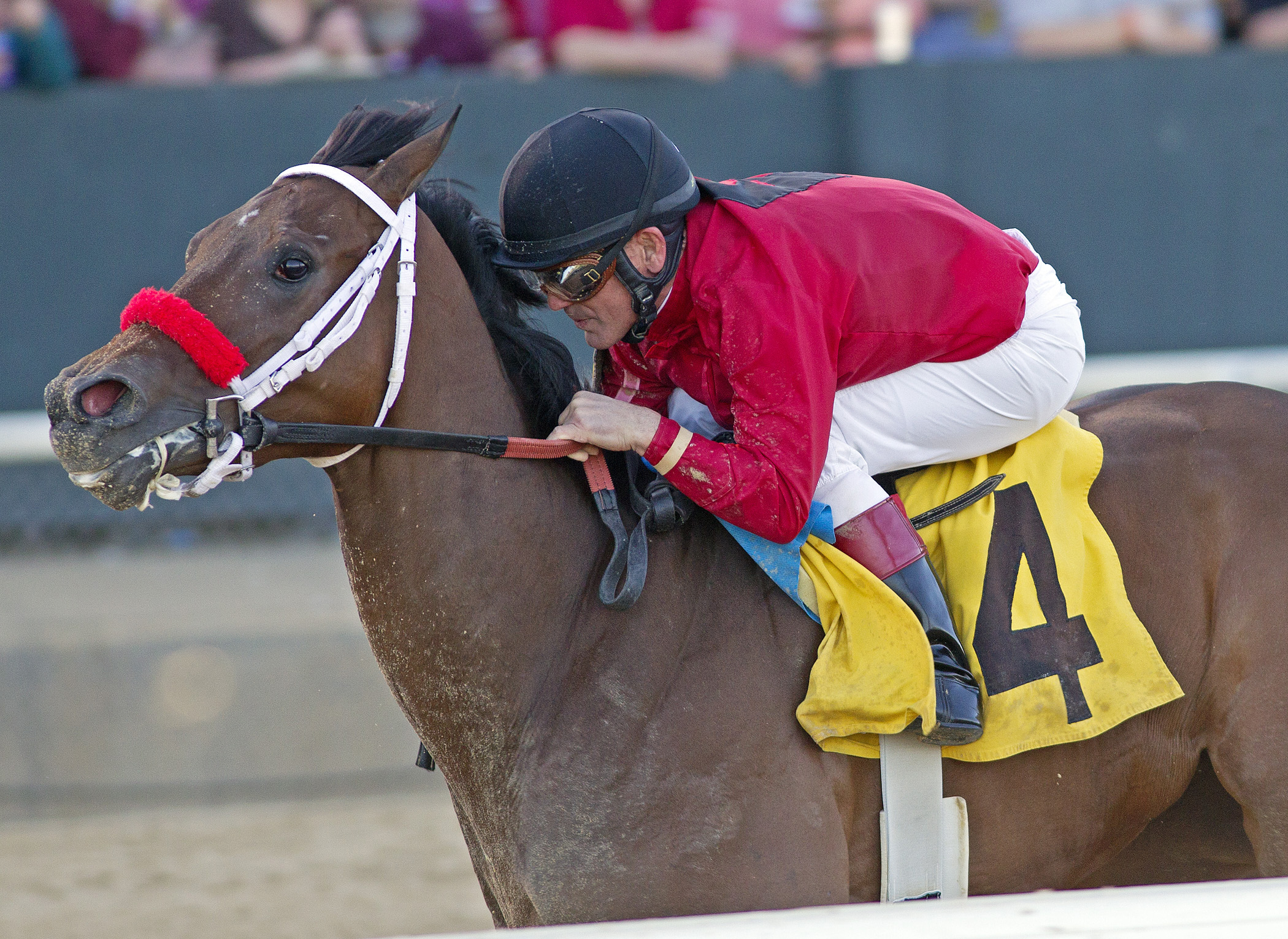 Blueeyesintherein, Instant Racing Stakes