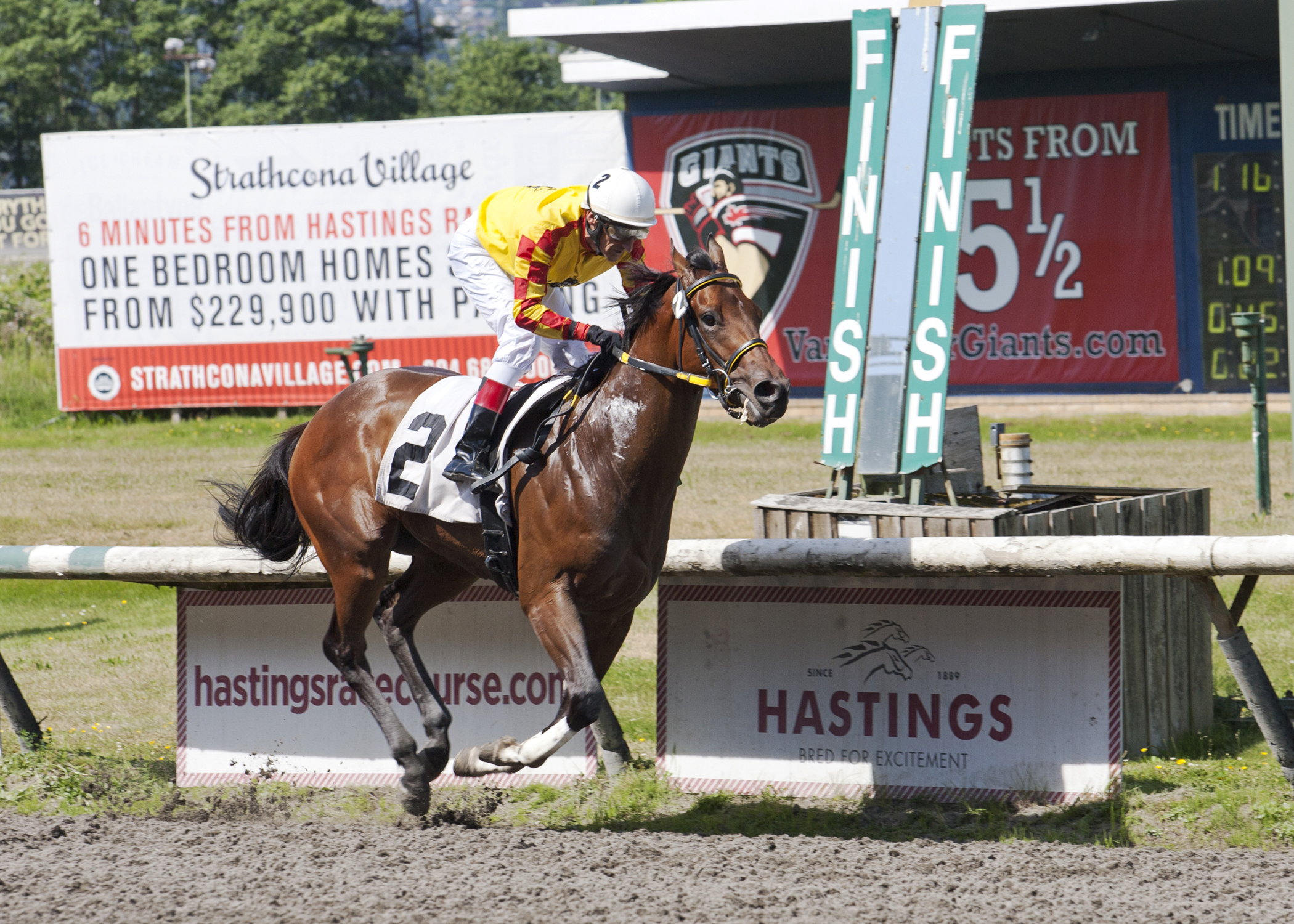 Bluegrass Angus wins the River Rock Casino Stakes