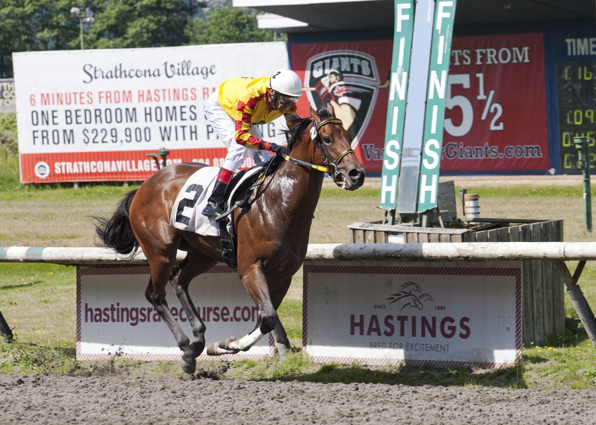 Bluegrass Angus wins the River Rock Casino Stakes