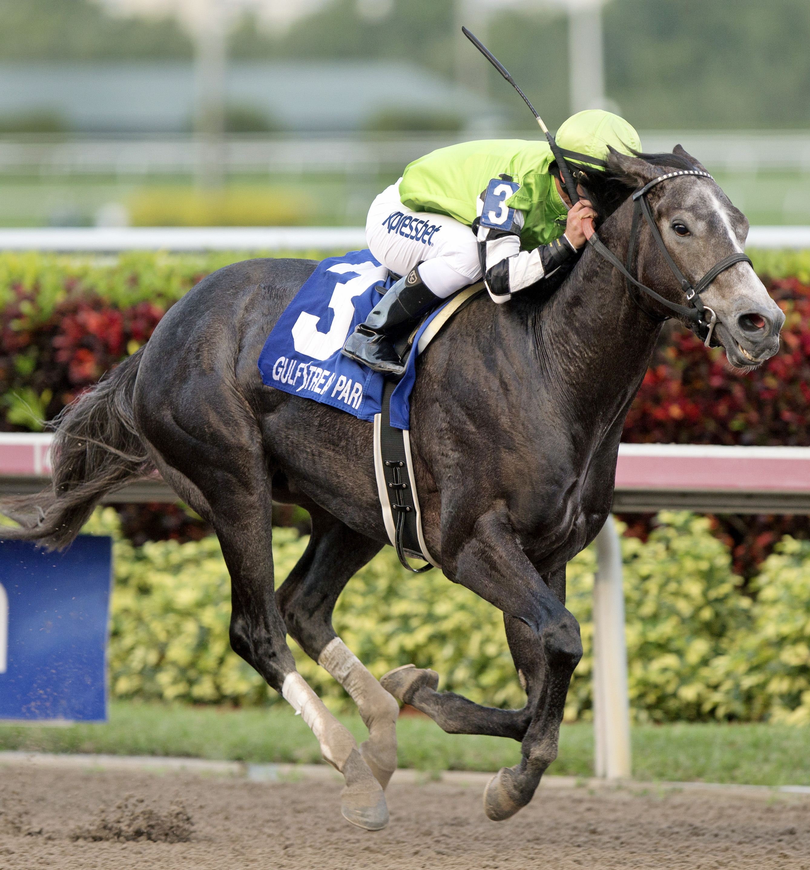 Bluegrass Singer wins the Mucho Macho Man