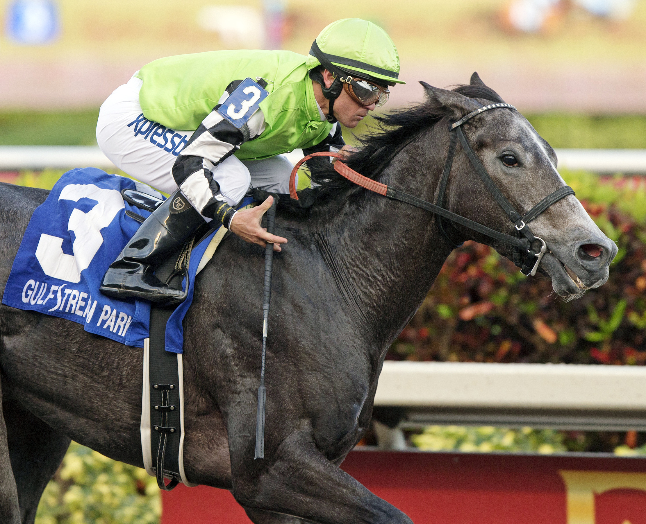 Bluegrass Singer wins the Mucho Macho Man