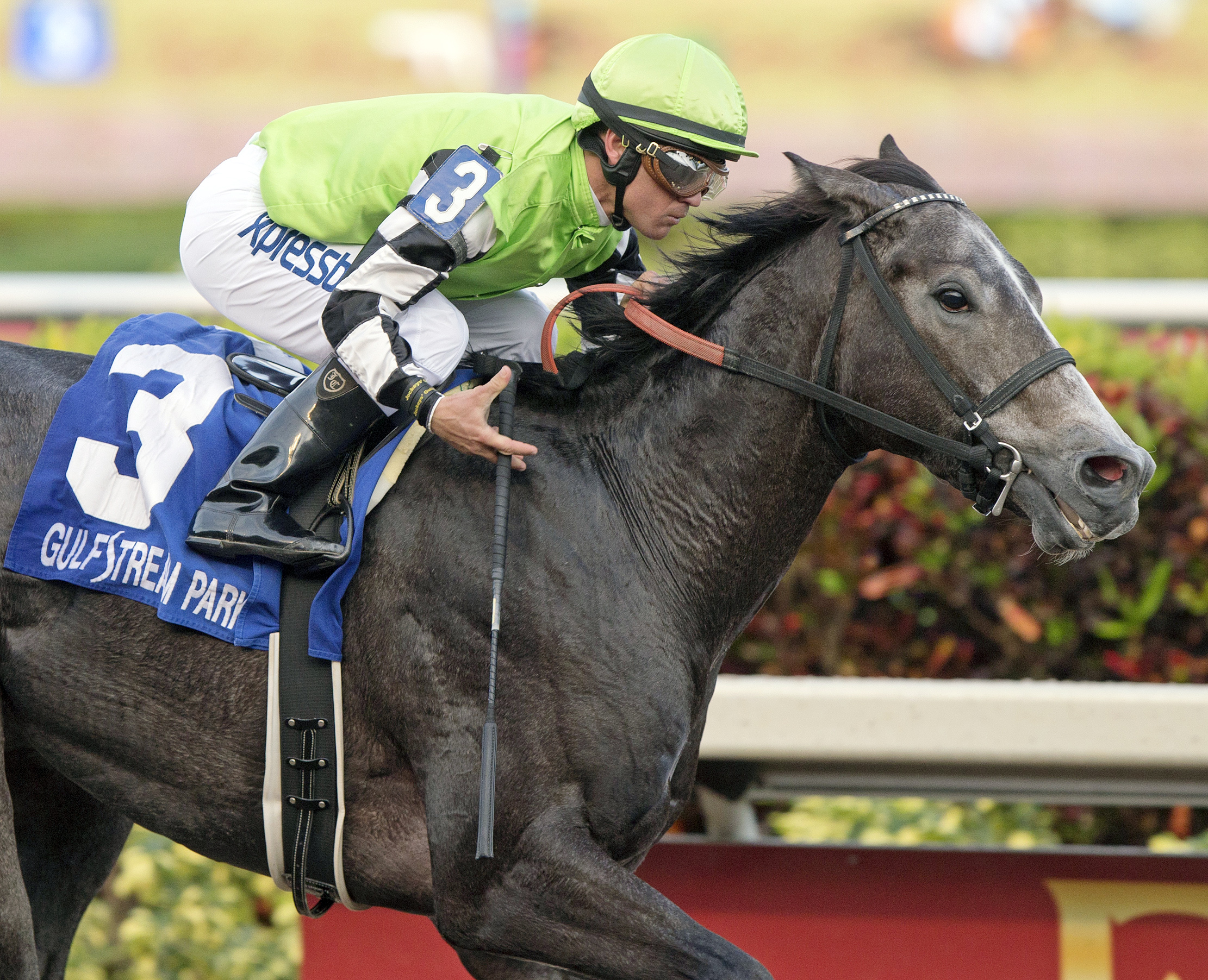 Bluegrass Singer wins the Mucho Macho Man