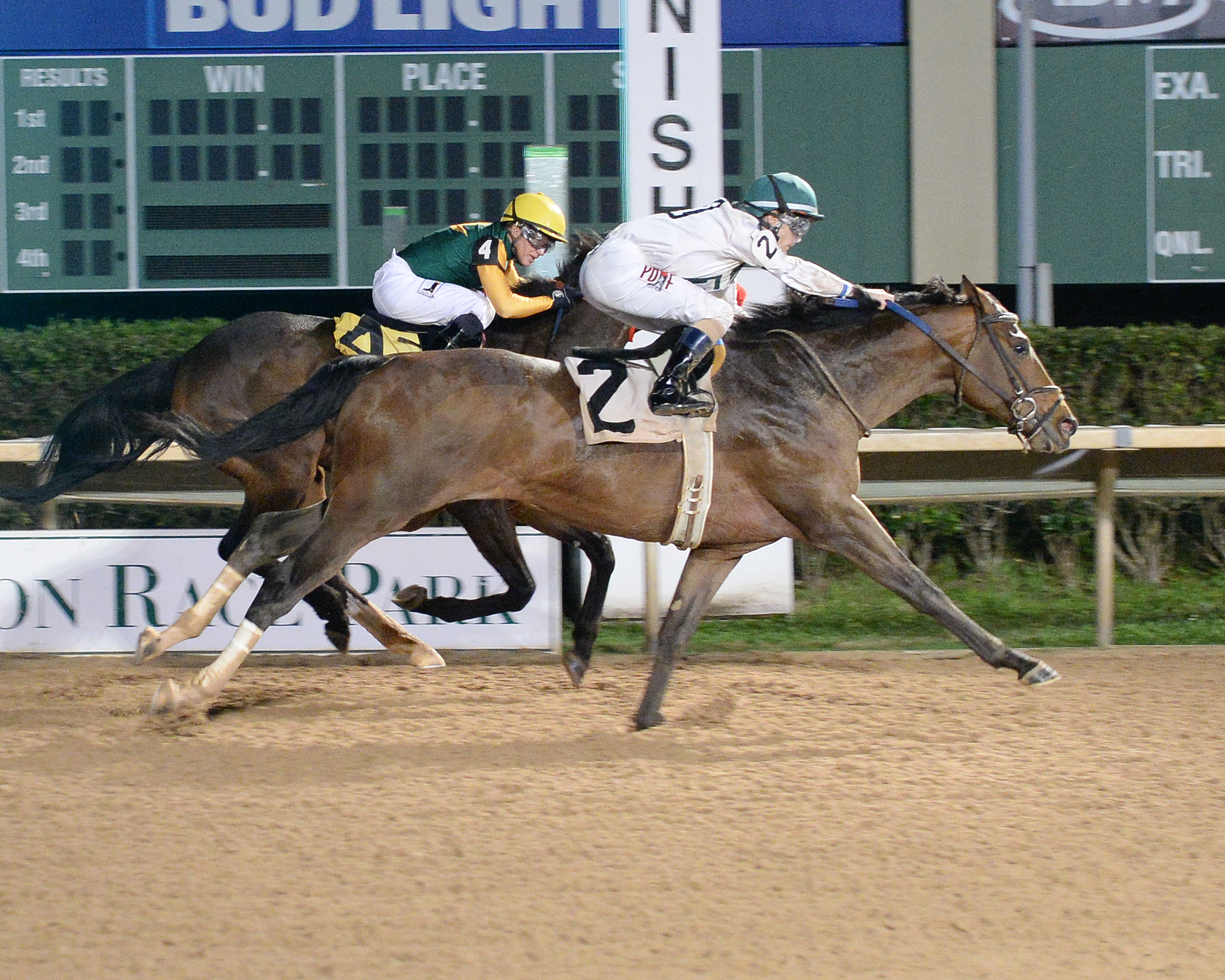 Blueridge Traveler/Maxxam Gold Cup