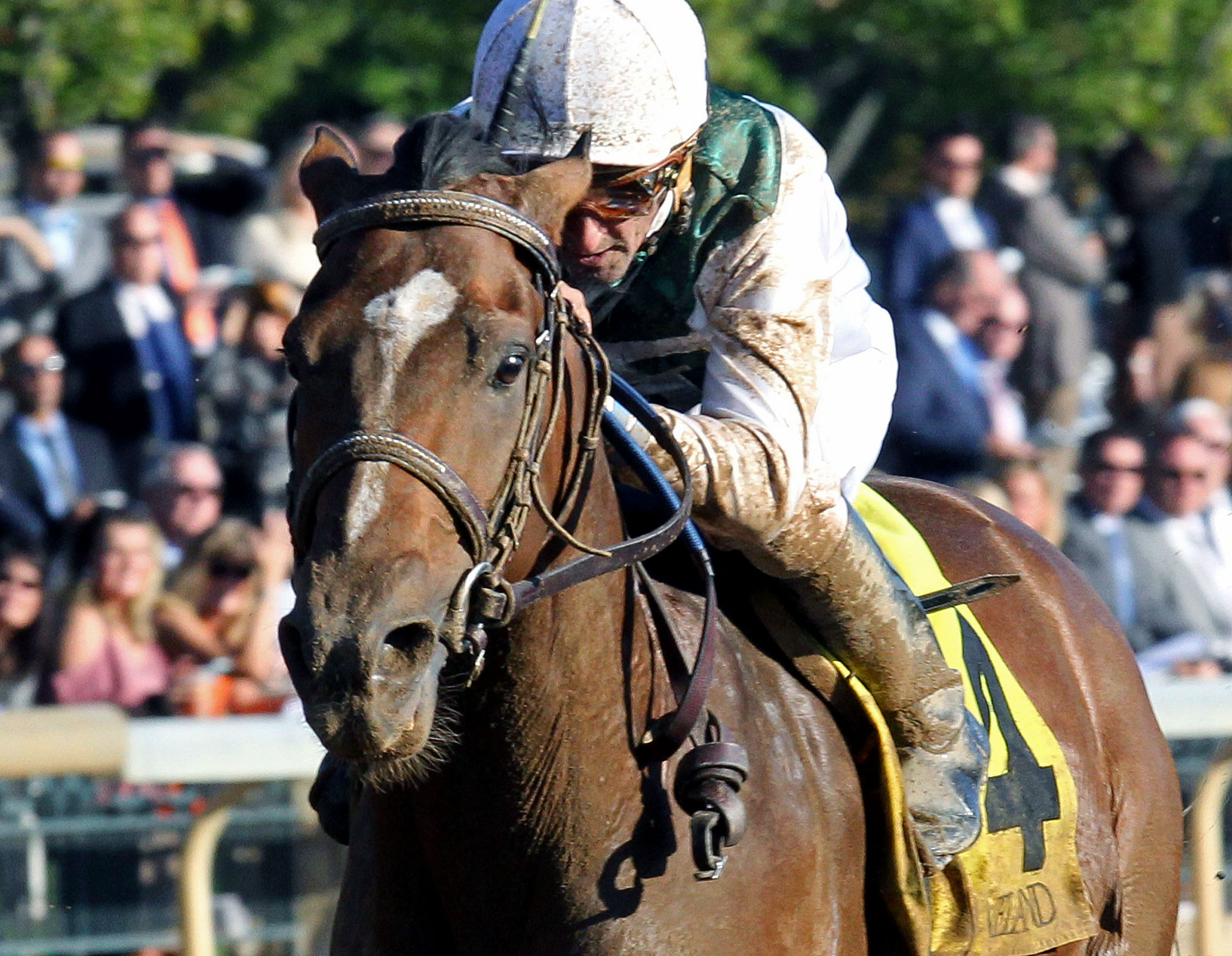 Blueridge Traveler wins an Oct. 20 allowance at Keeneland