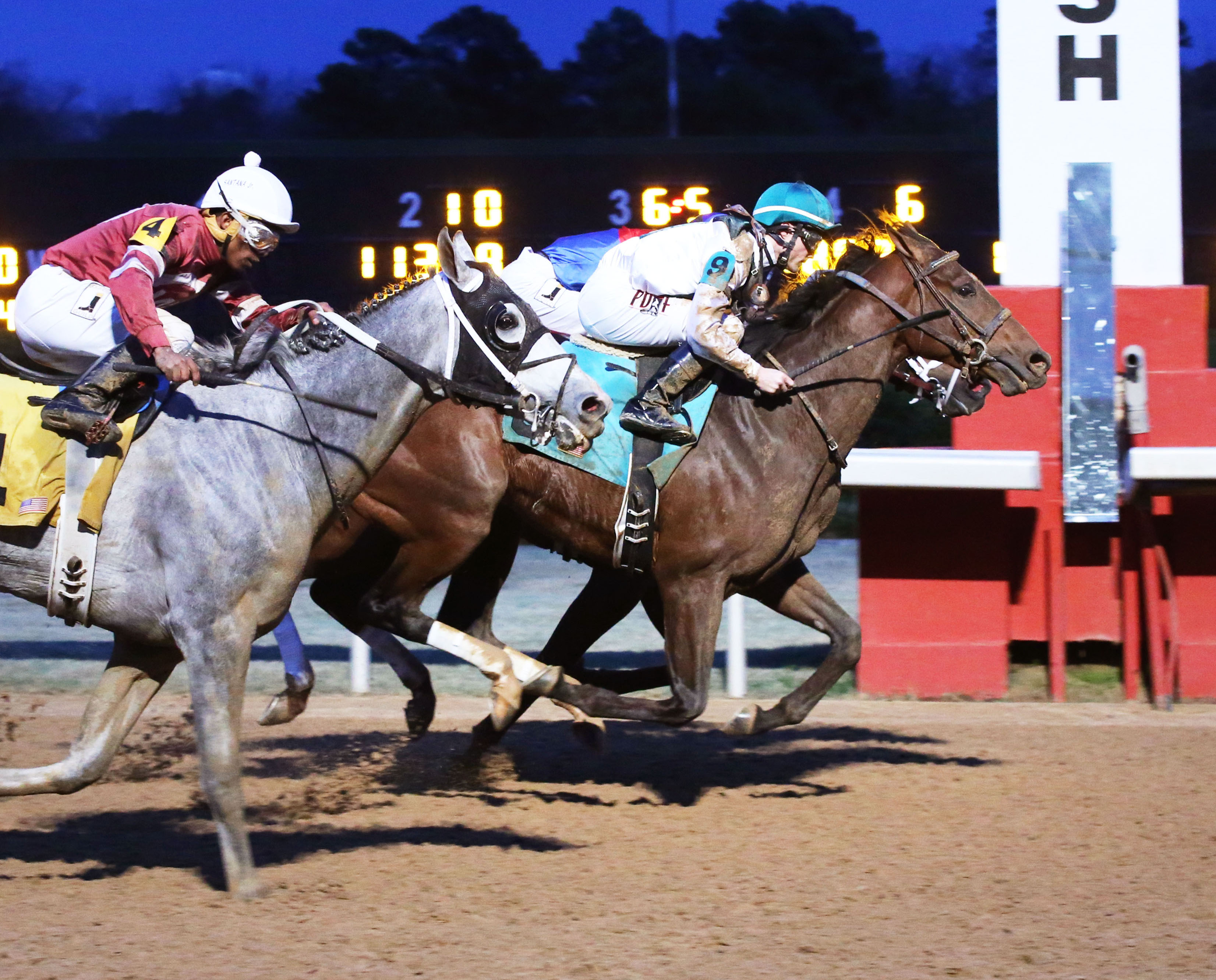 Blueridge Traveler wins a maiden race