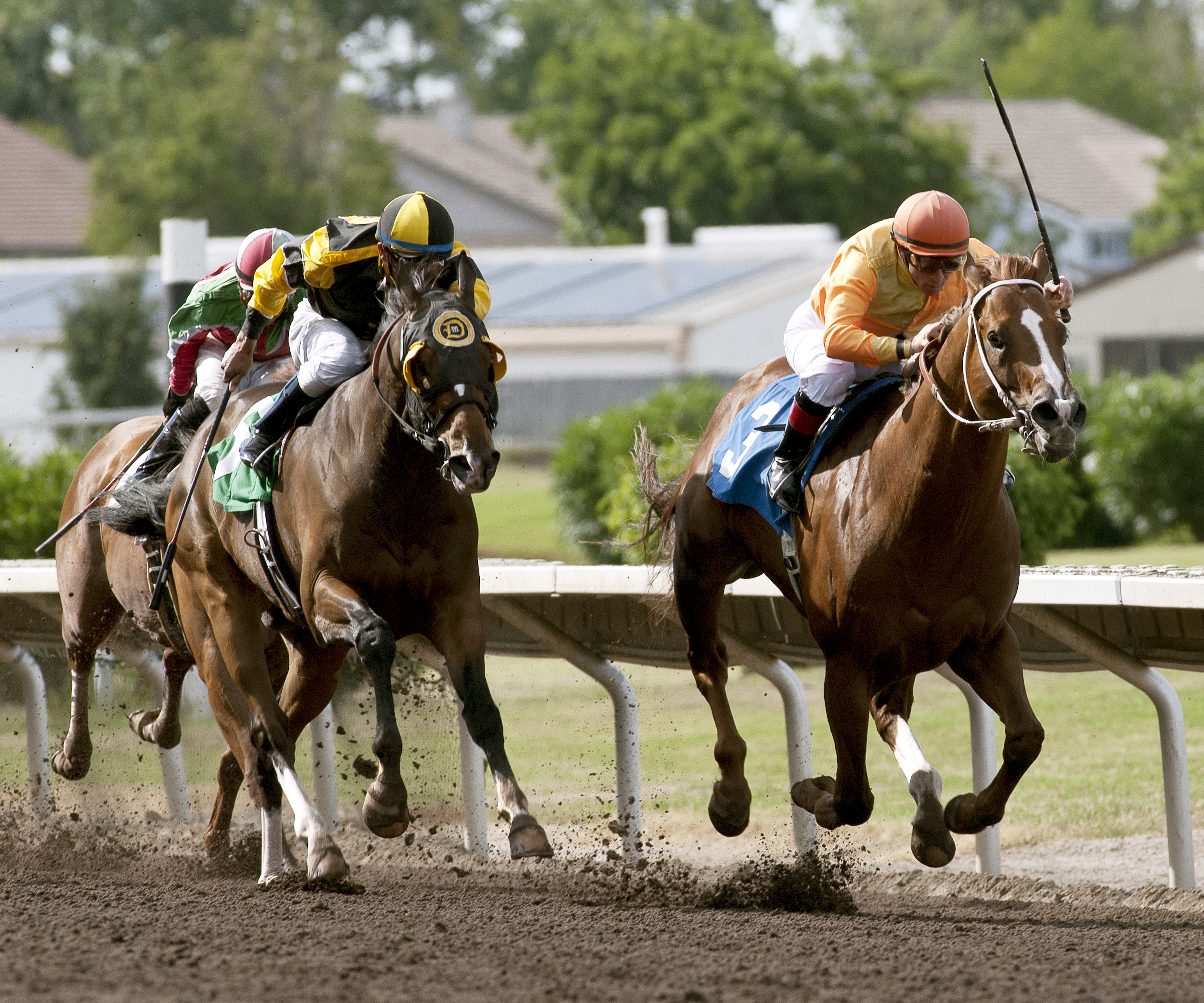 Blues Blaster wins the Oak Tree Handicap