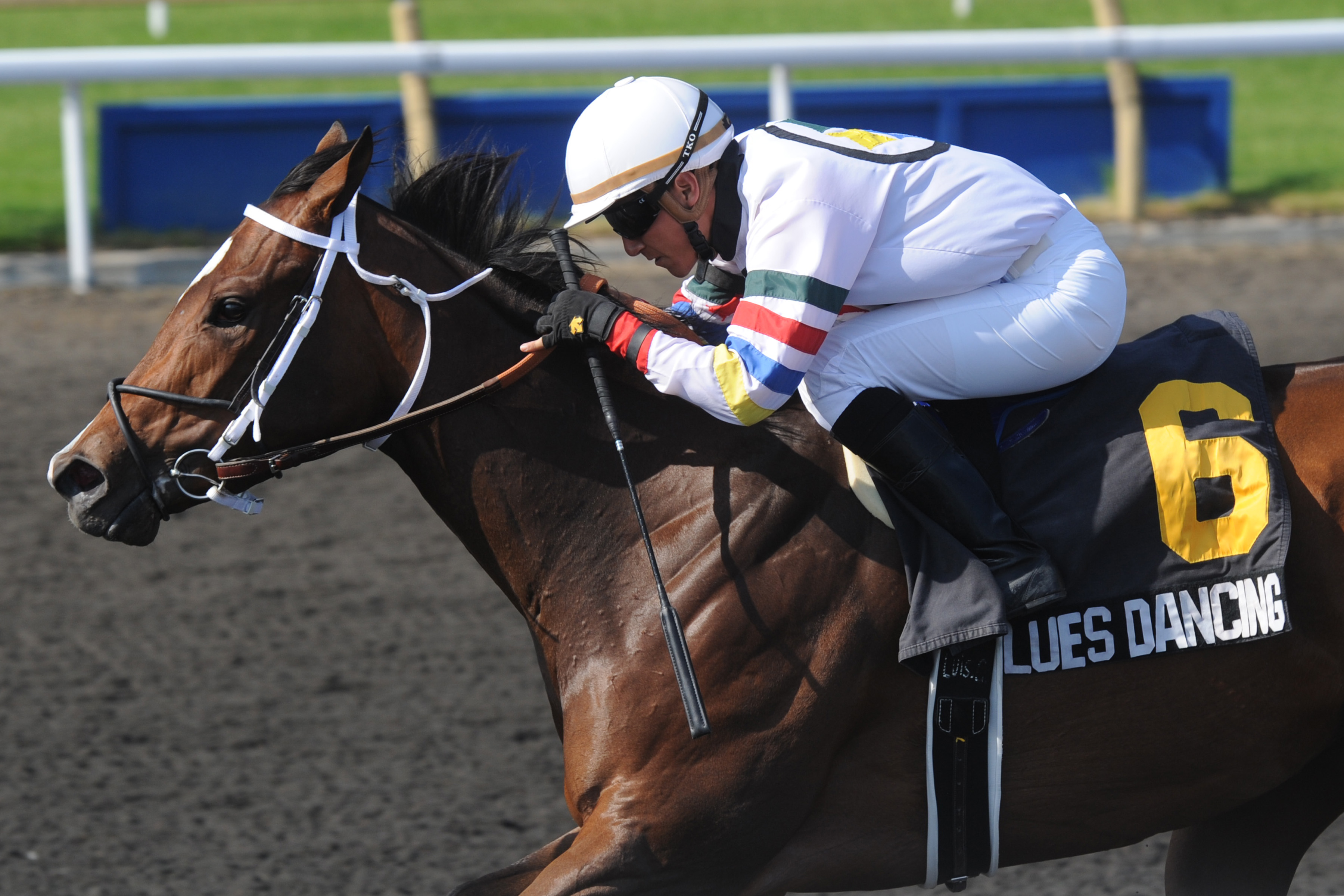 Blues Dancing/Lady Angela Stakes