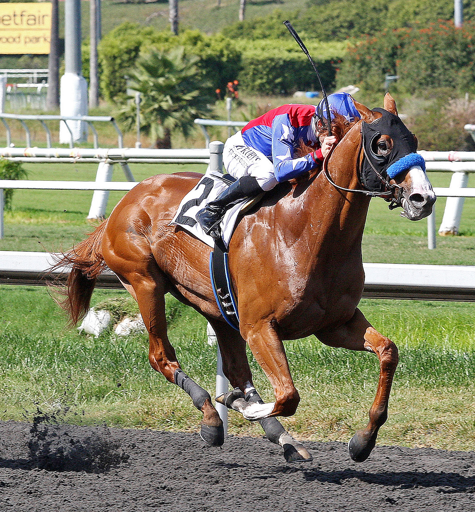 Blueskiesnrainbows 1/Swaps Stakes