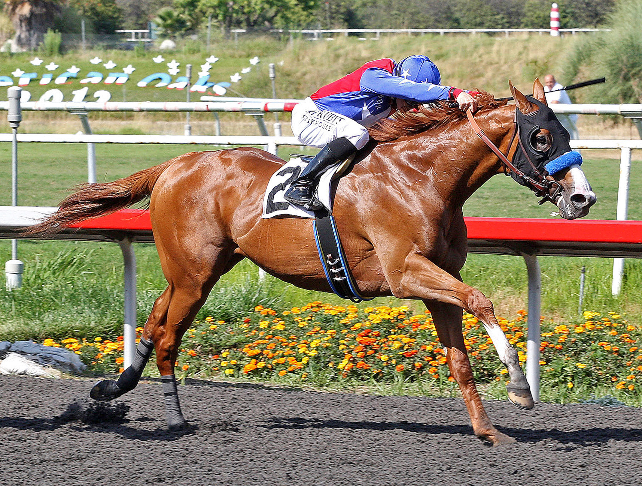 Blueskiesnrainbows/Swaps Stakes