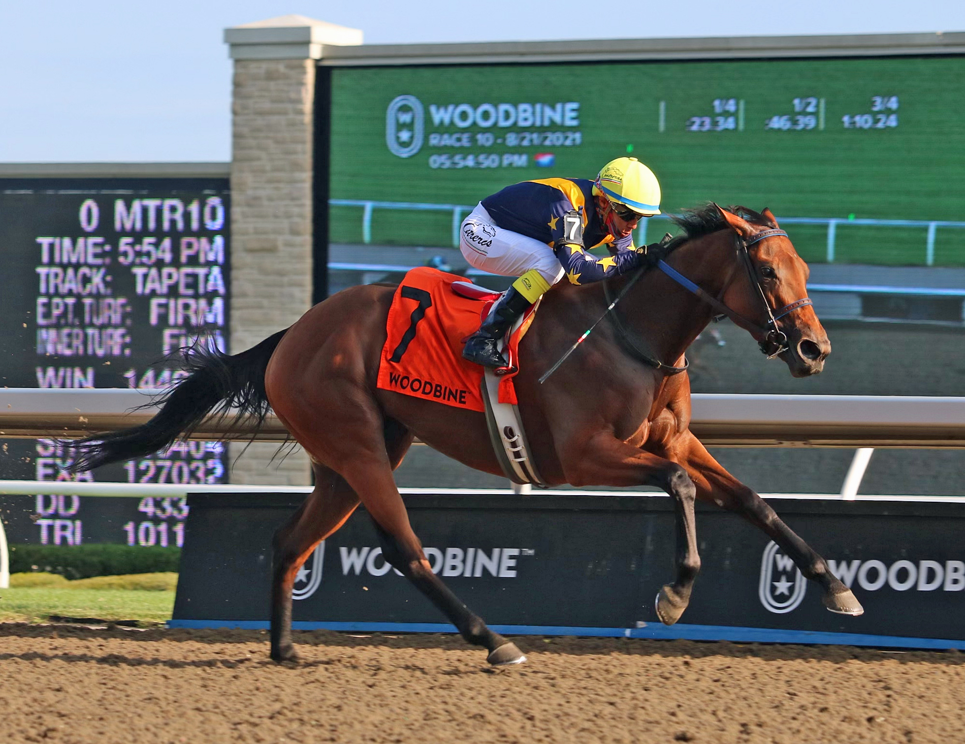 Boardroom.Seaway Stakes.8-21-21