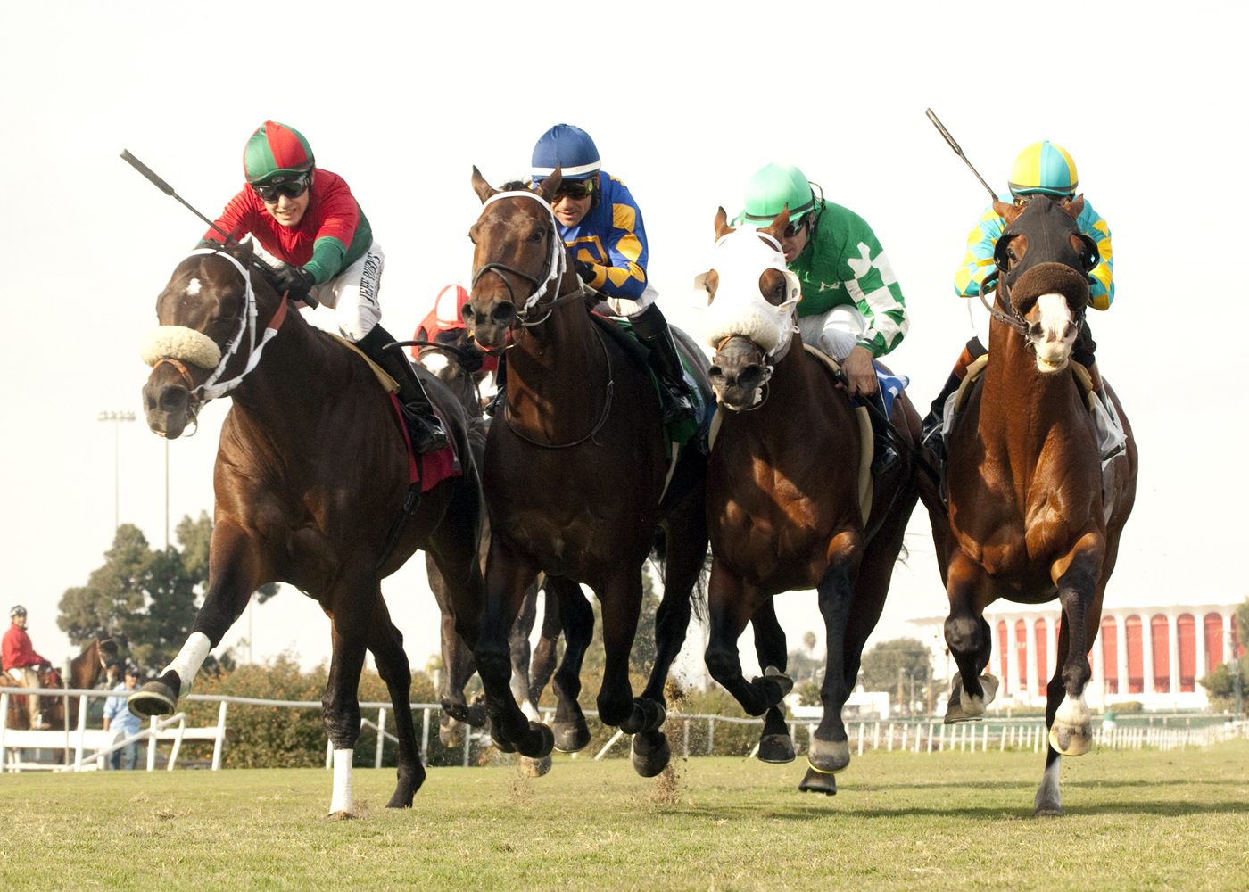 Boat Trip wins the Hollywood Turf Express