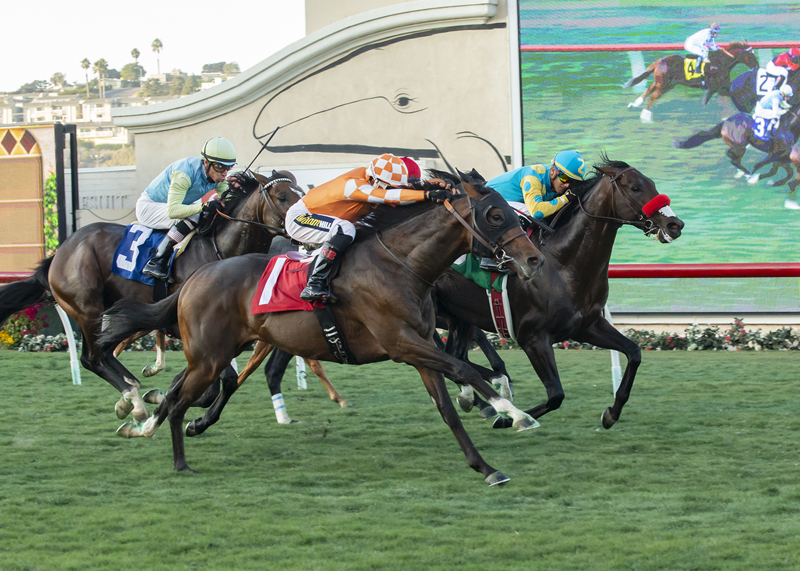 Bob and Jackie (right) wins the 2019 Let It Ride Stakes
