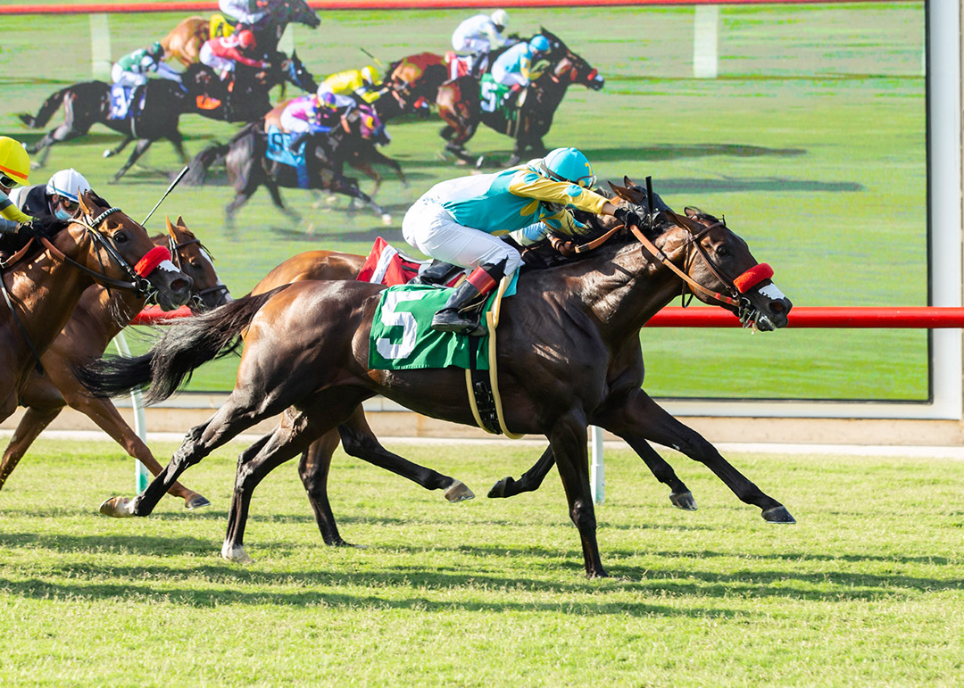 Bob and Jackie (5) wins the 2020 Wickerr Stakes at Del Mar