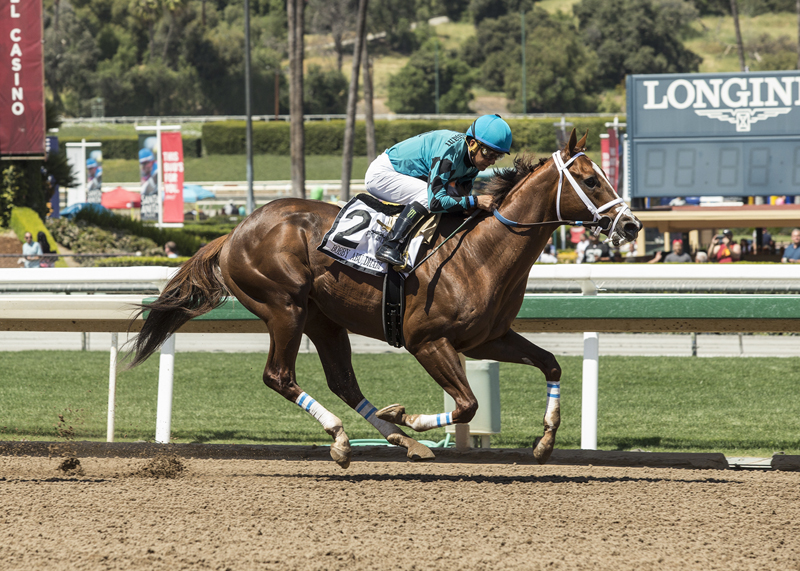 Bobby Abu Dhabi wins the 2018 Kona Gold Stakes
