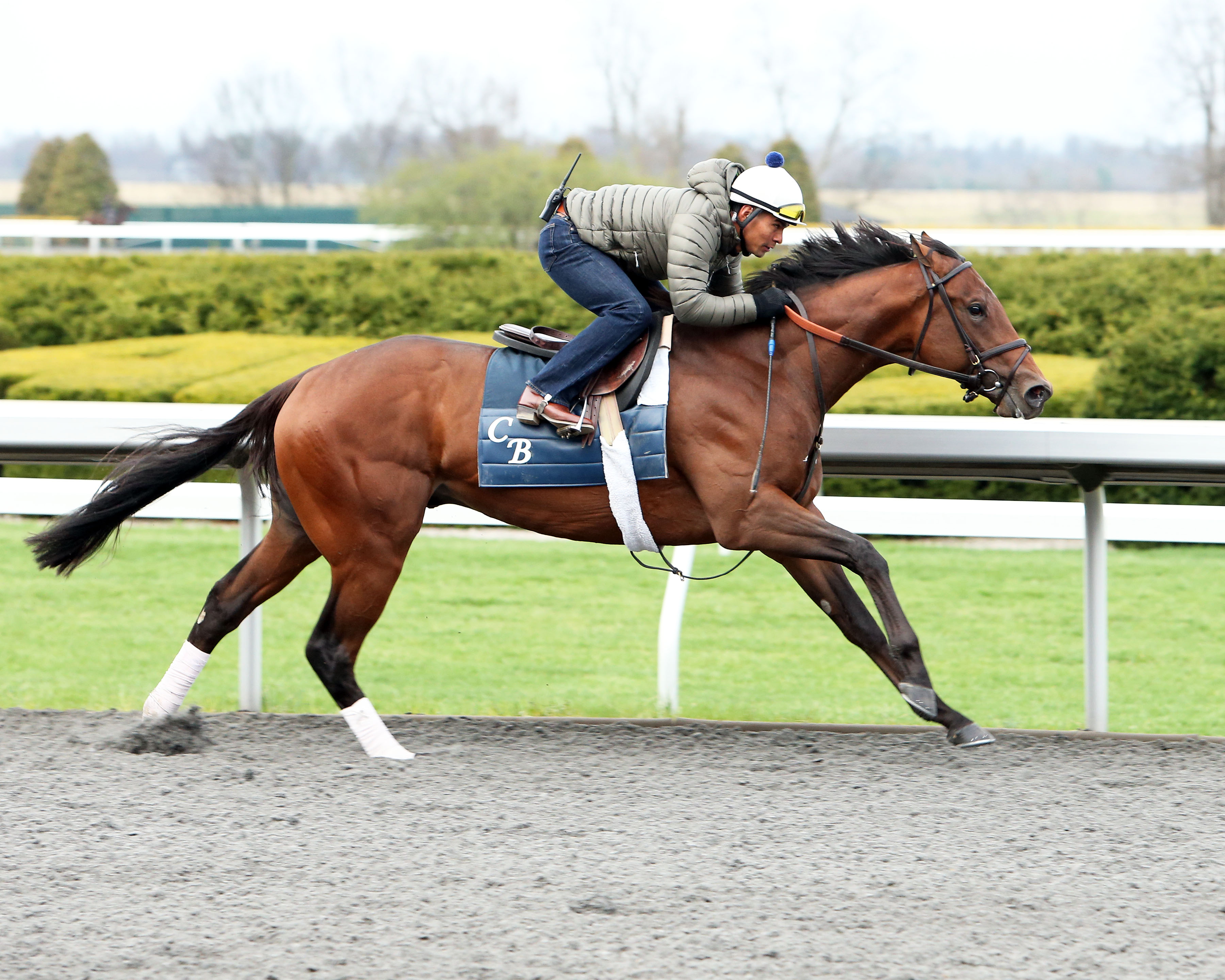 Bobby's Kitten works at Keeneland on April 5