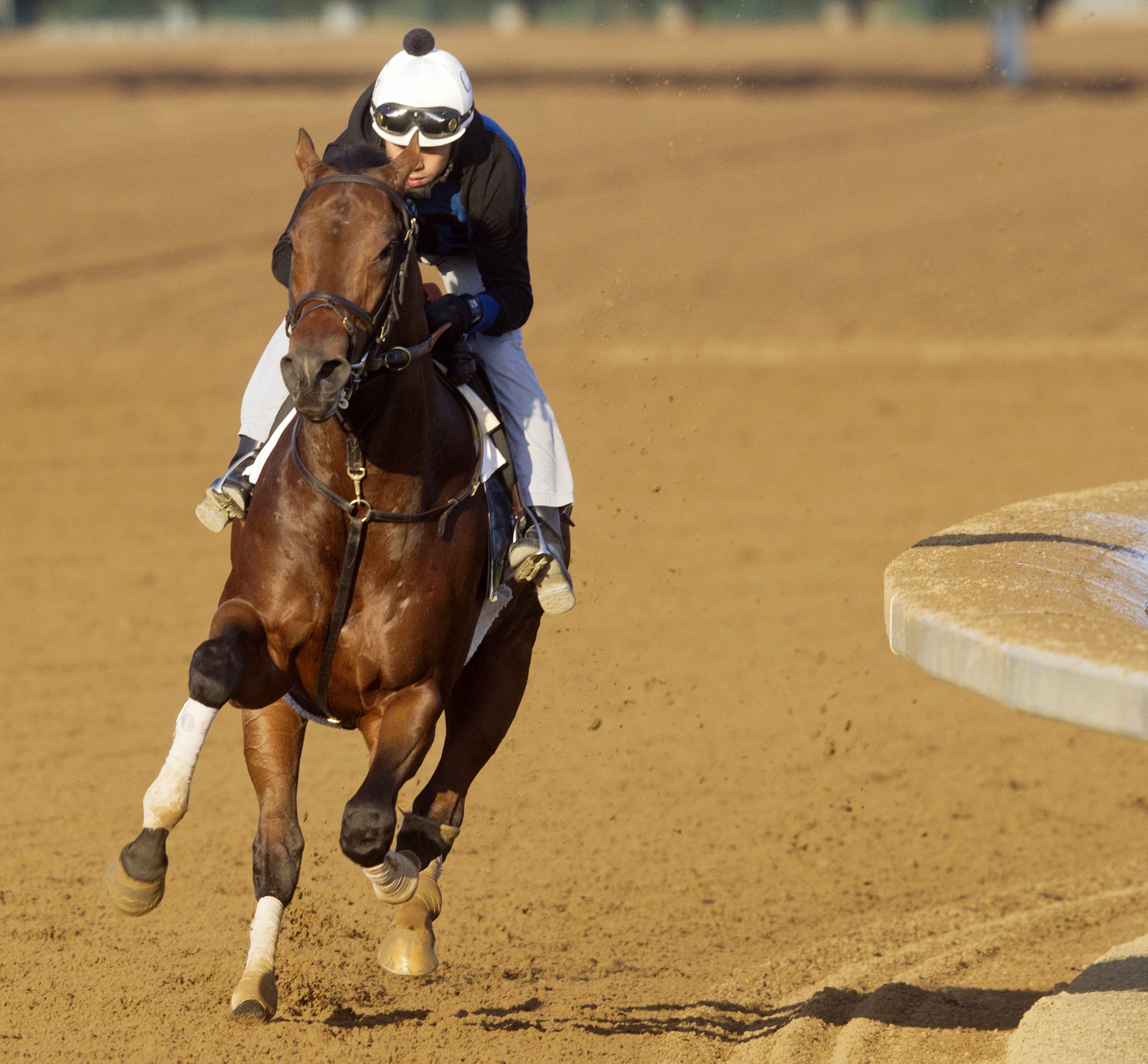 Bobby's Kittten trains at Keeneland on Oct. 23