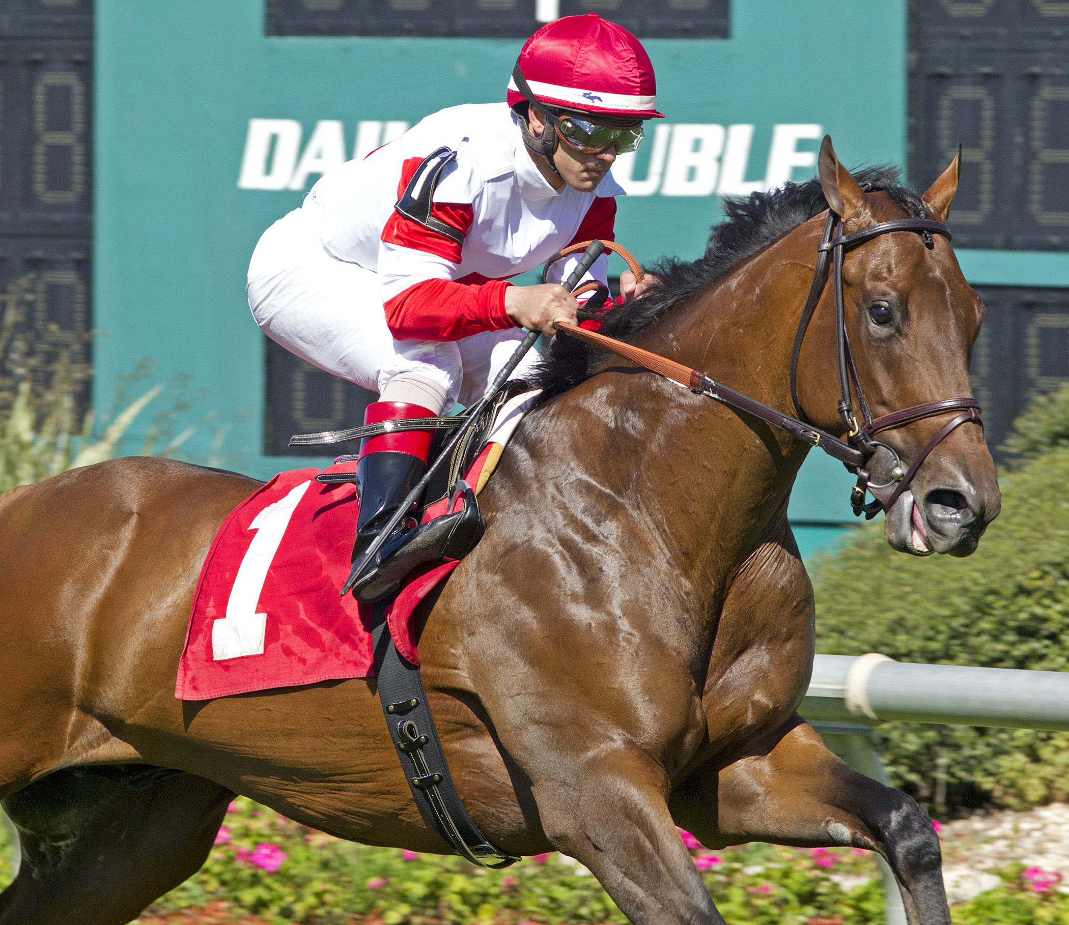 Bobby's Kitten wins an allowance race