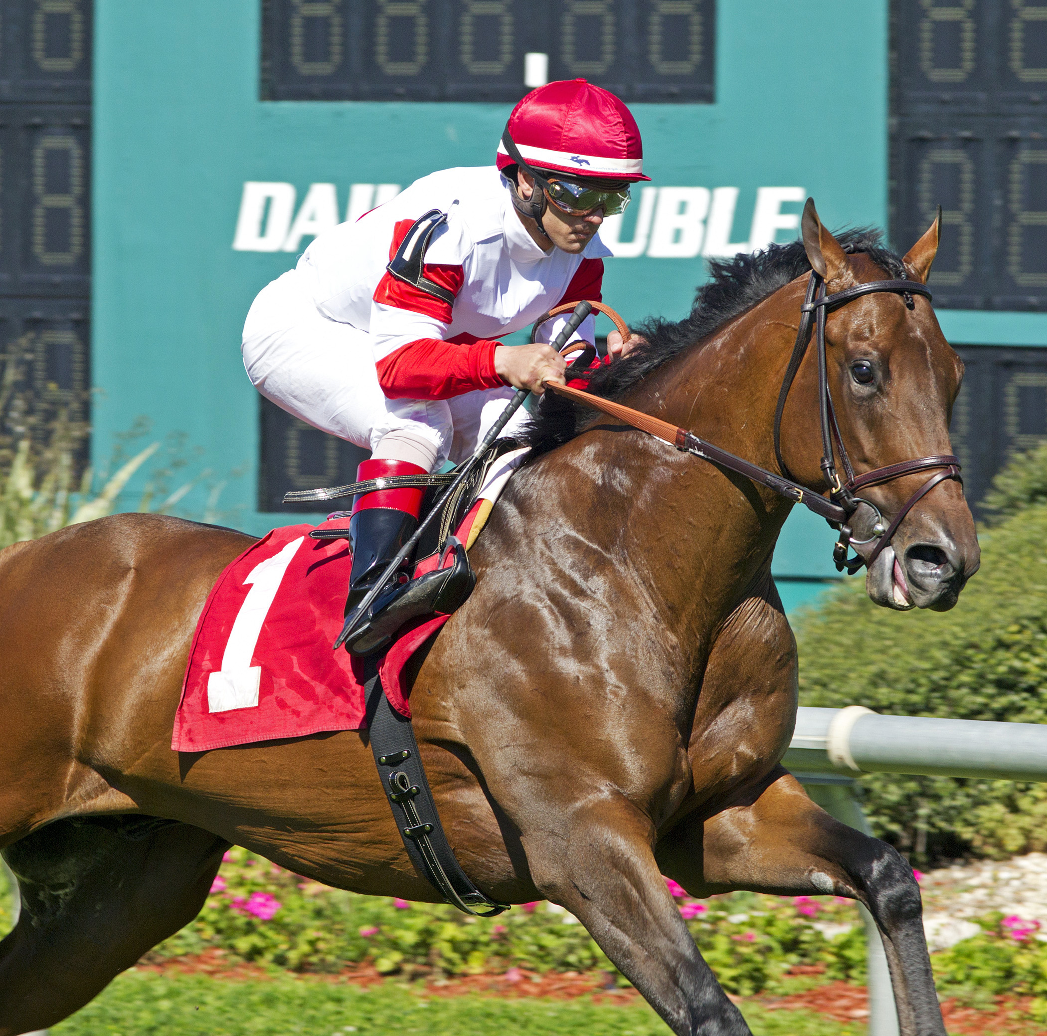 Bobby's Kitten wins an allowance race
