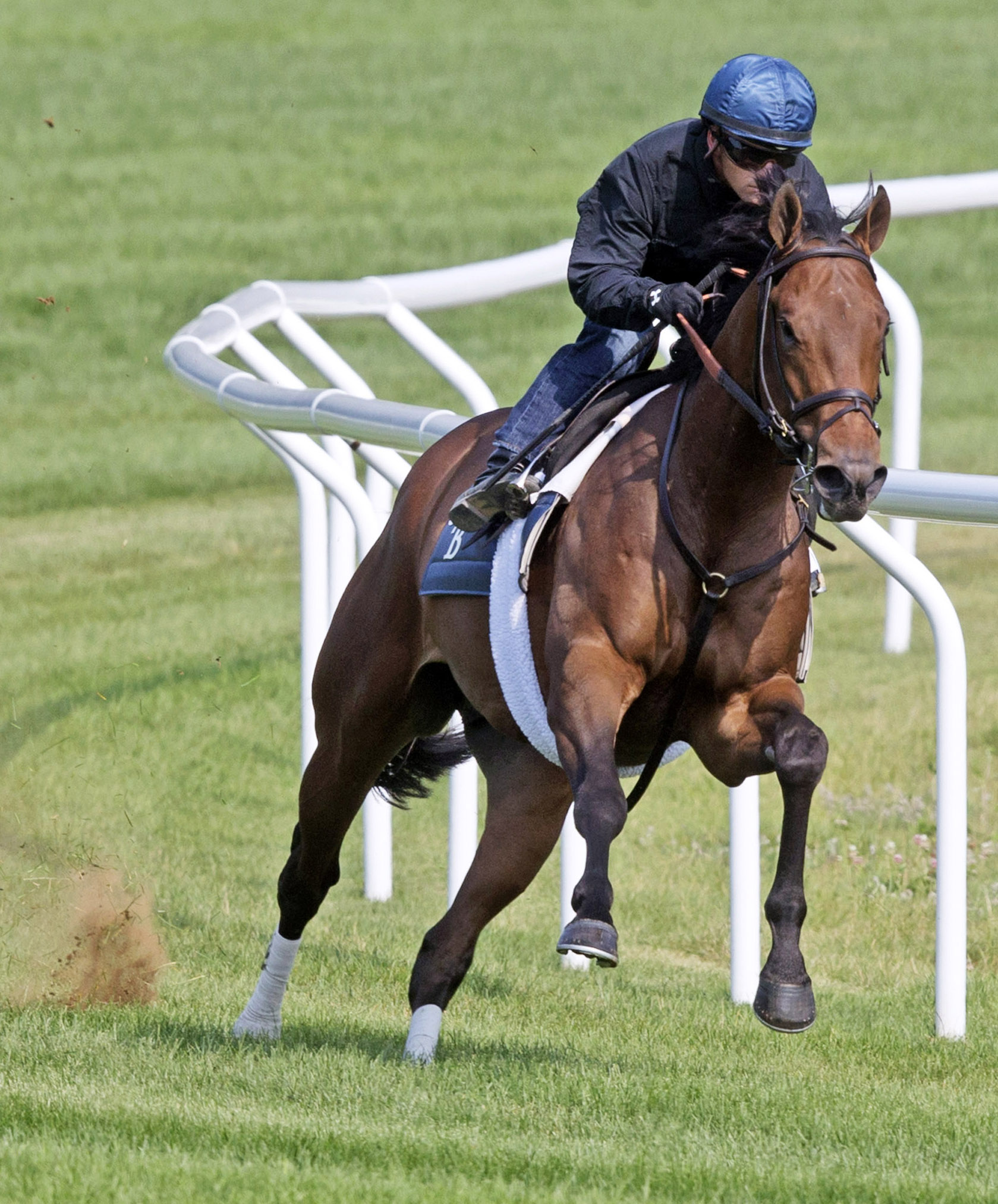 Bobby's Kitten trains at Saratoga on July 25