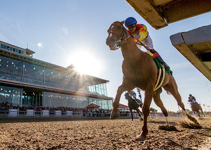 Bobby's Wicked One wins the 2019 Thanksgiving Classic at Fair Grounds