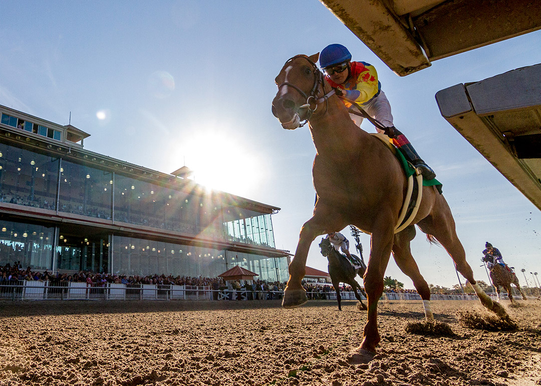 Bobby's Wicked One wins the 2019 Thanksgiving Classic at Fair Grounds