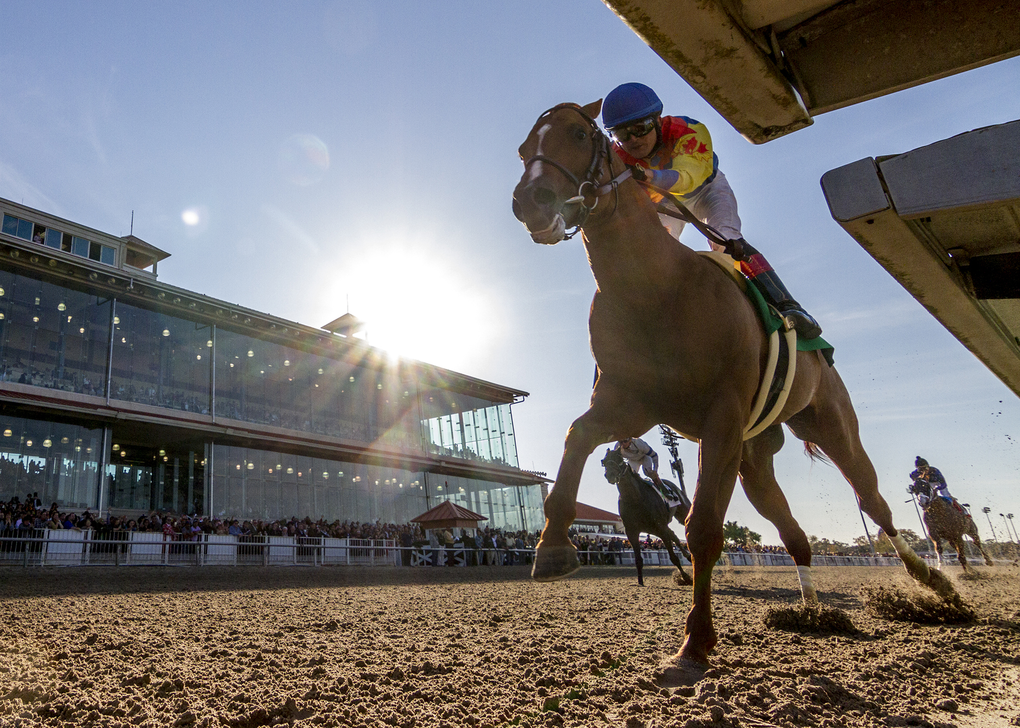 Bobby-s Wicked One wins the 2019 Thanksgiving Classic