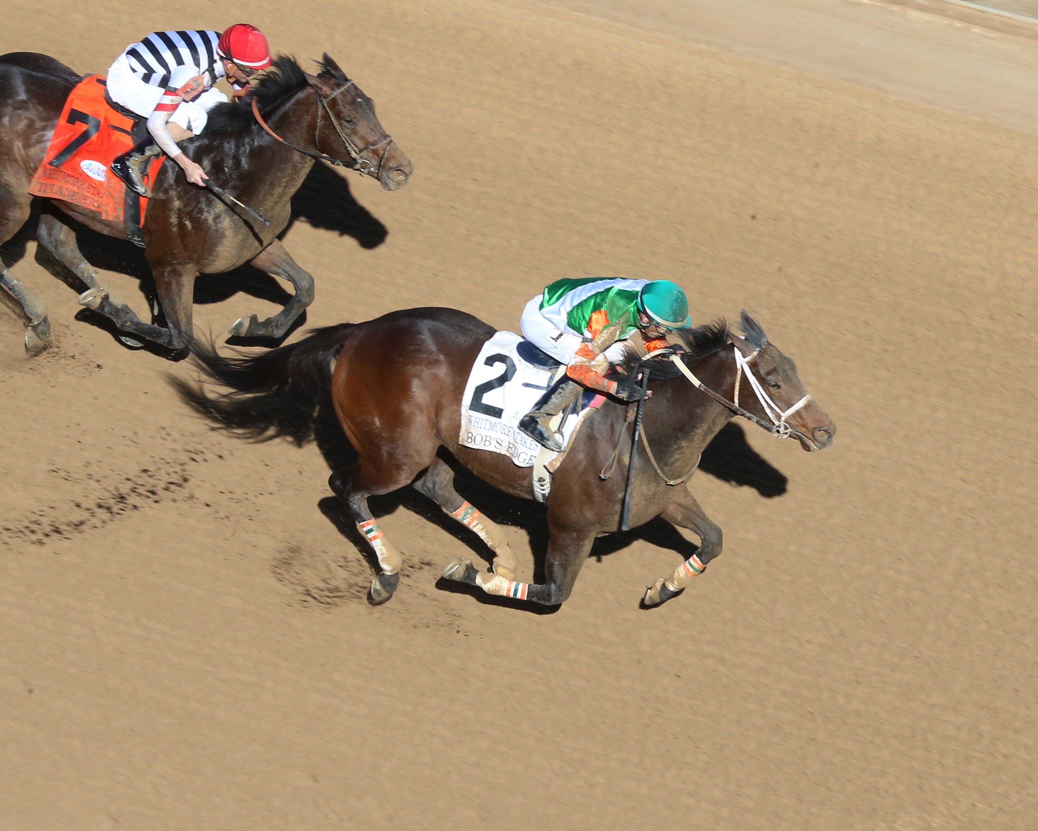 Bob's Edge wins the Whitmore Stakes.03.19.2022