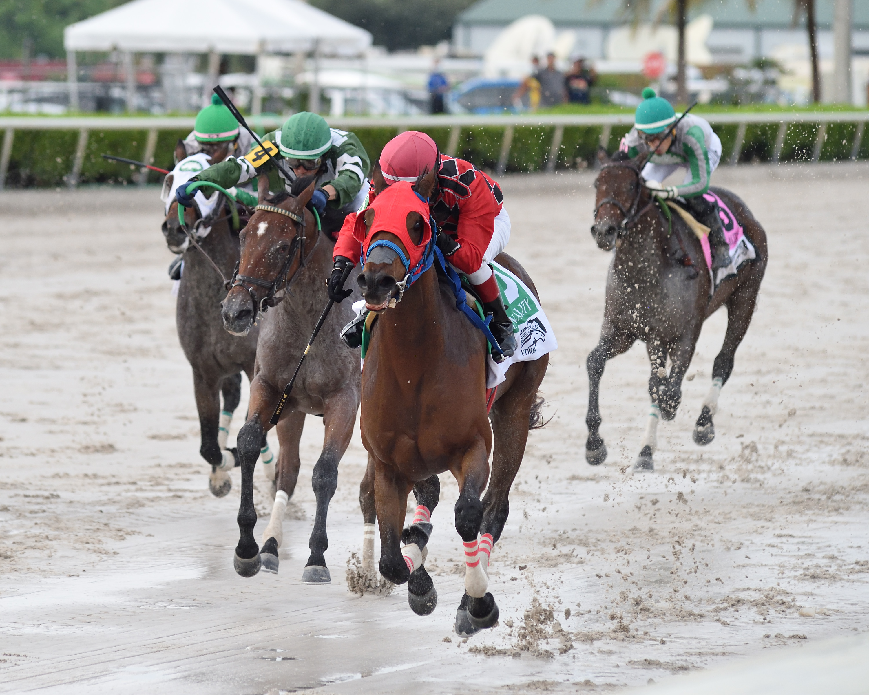 Boca Boy wins In Reality Stakes 9-26-2020
