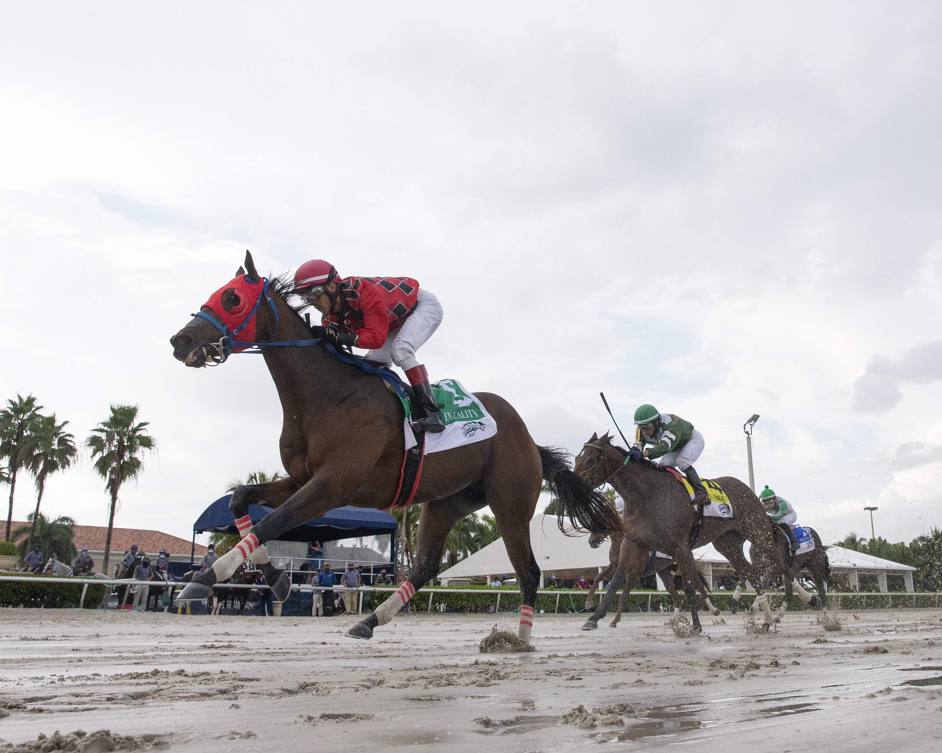 Boca Boy wins in Reality Stakes alternate 9-26-2020