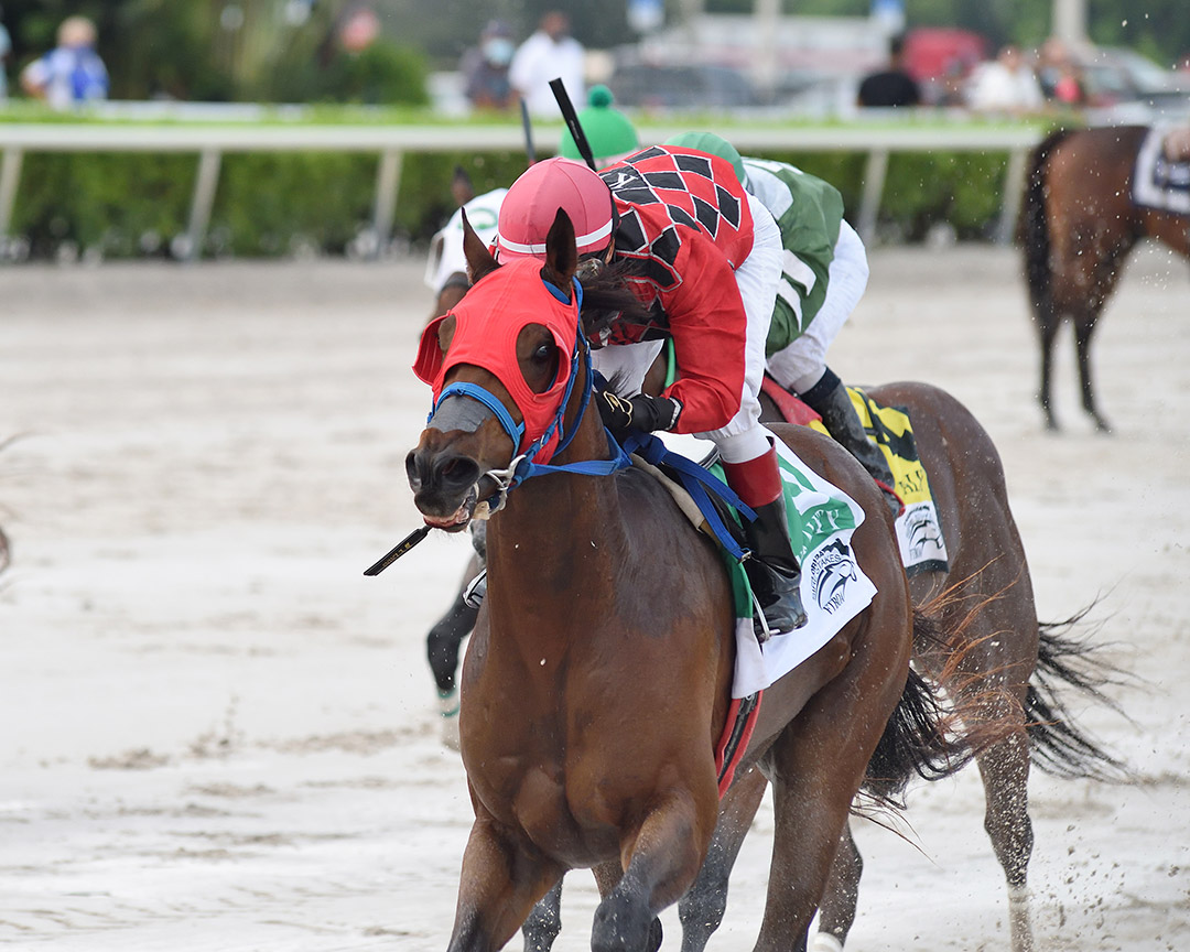 Boca Boy wins the 2020 In Reality Stakes at Gulfstream Park