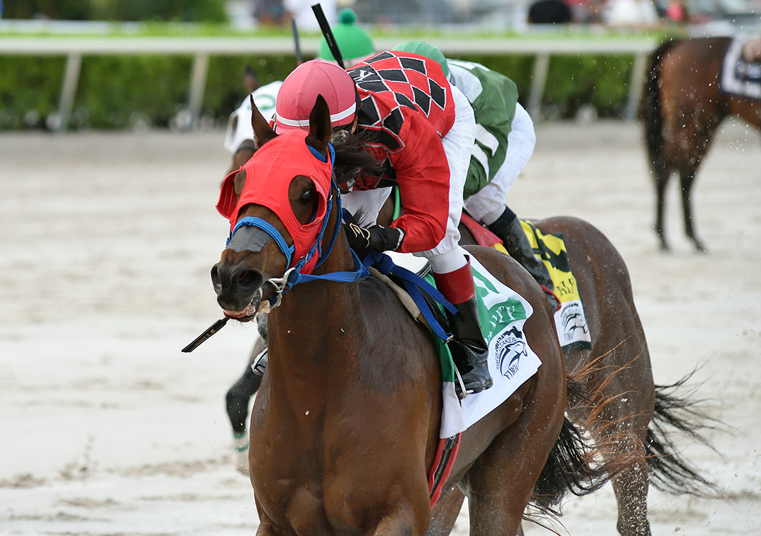 Boca Boy wins the 2020 In Reality Stakes at Gulfstream Park