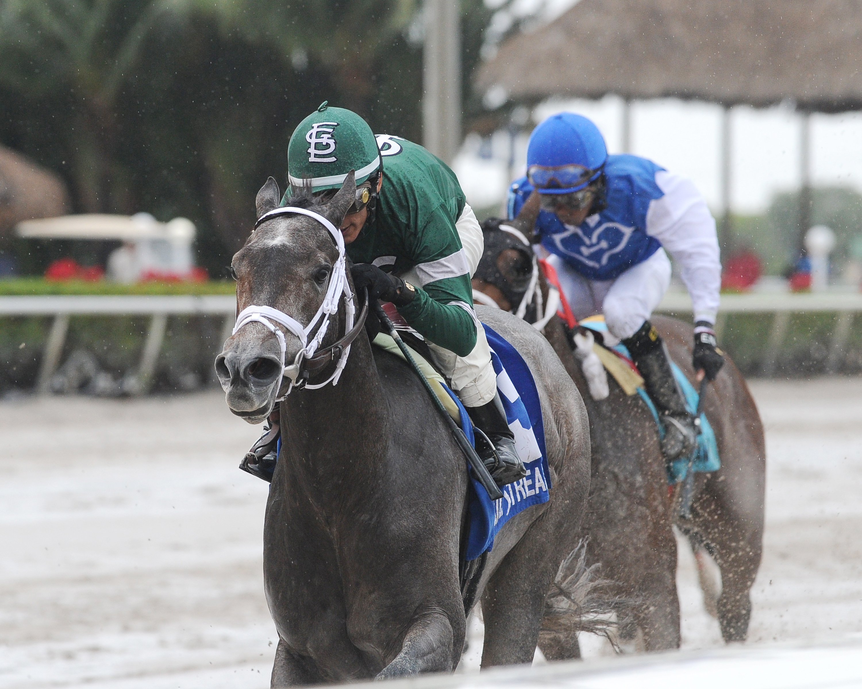Bode's Dream wins the House Party Stakes