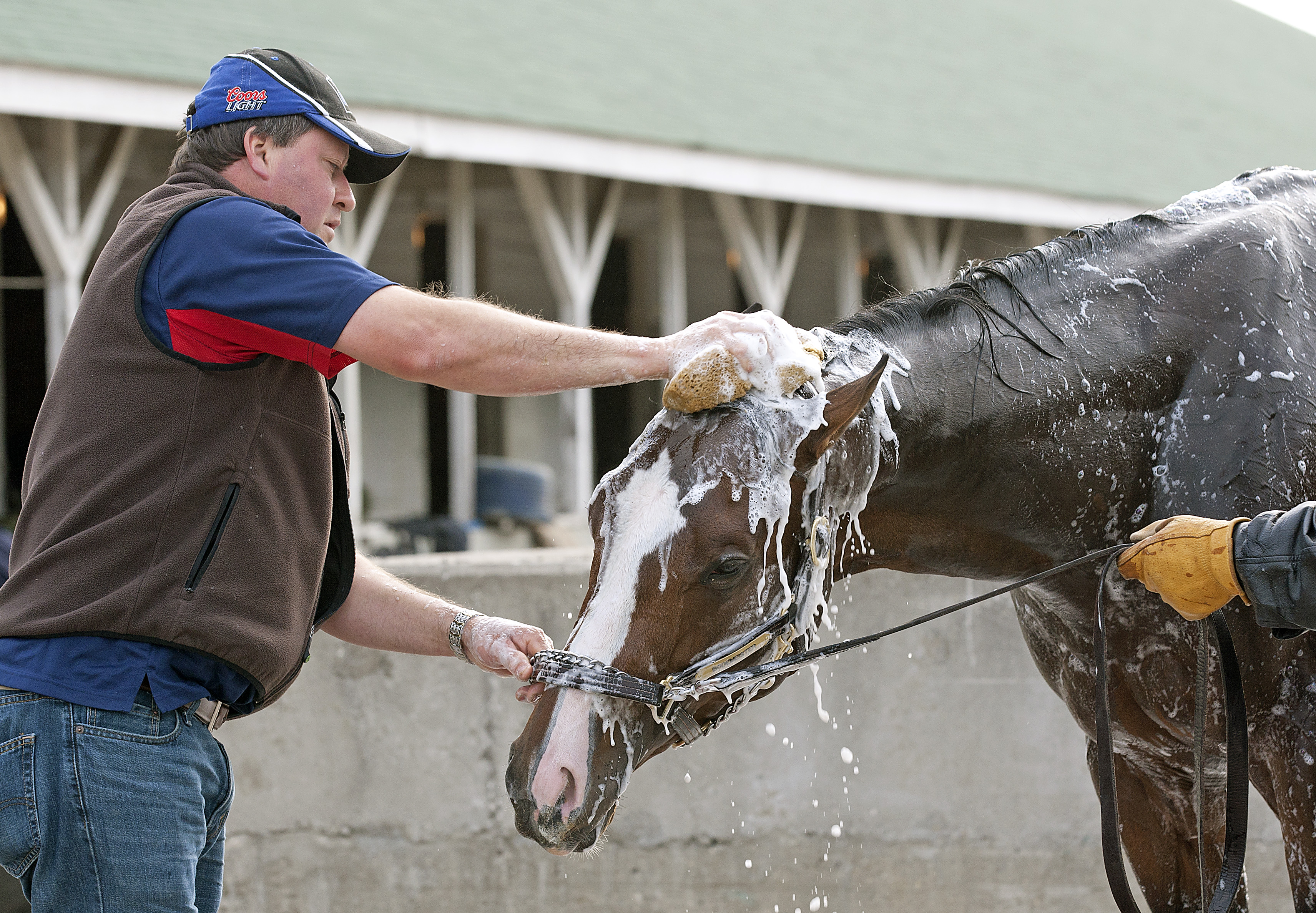 Bodemeister