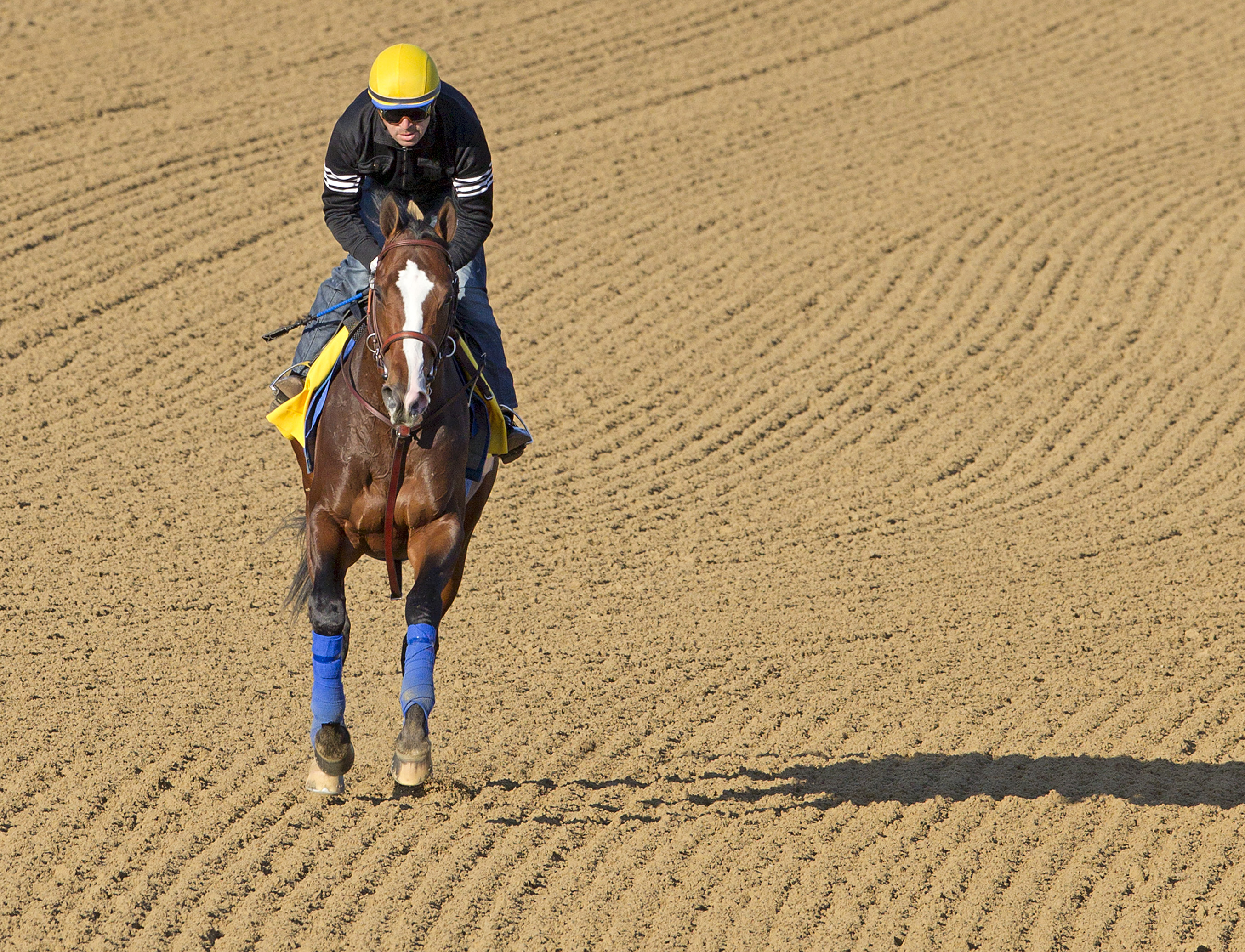 Bodemeister trains for Kentucky Derby