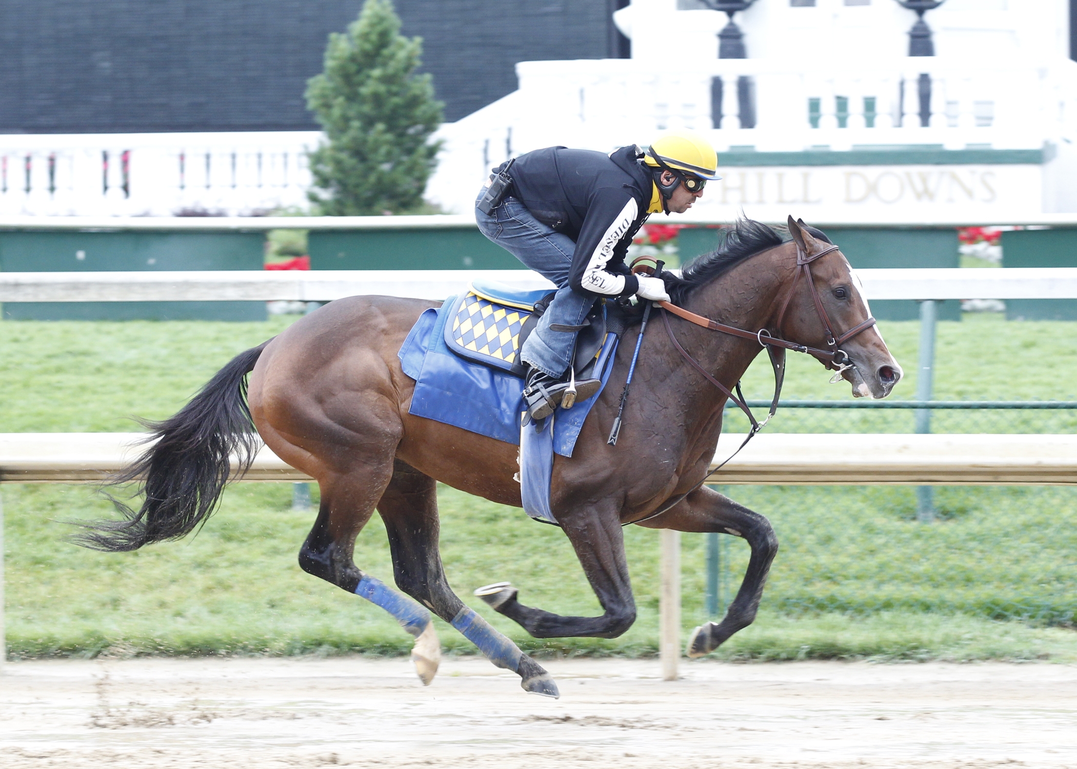 Bodemeister/May 14 gallop
