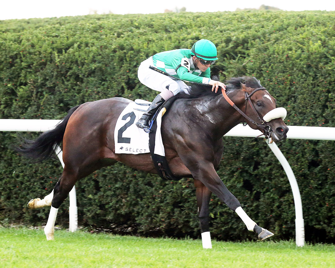 Bodenheimer wins the 2020 Indian Summer Stakes at Keeneland