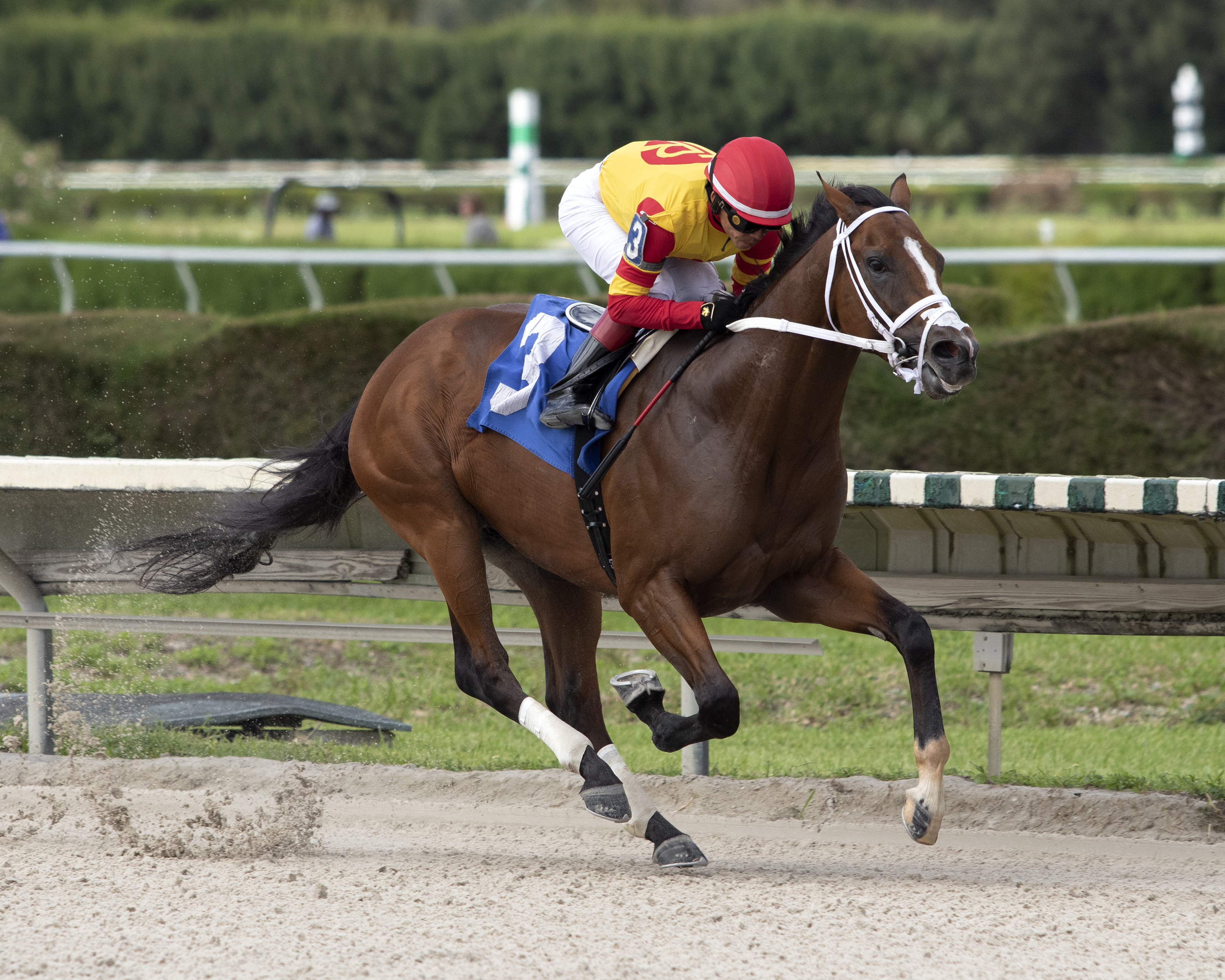 Bodexpress breaks his maiden at Gulfstream Park West