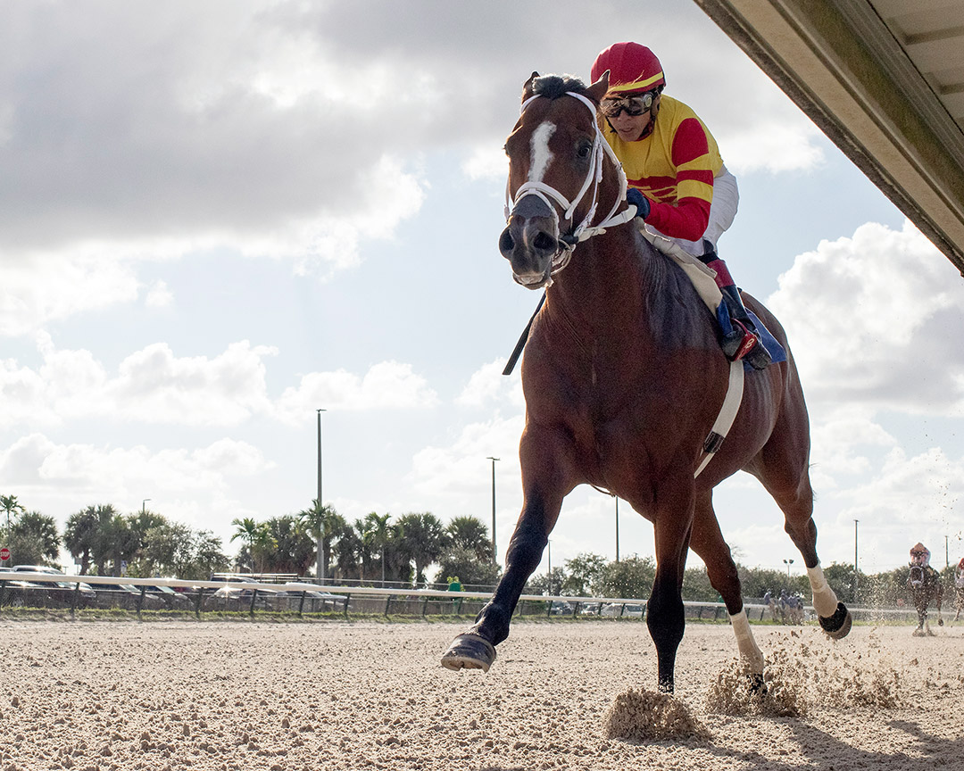 Bodexpress wins an Oct. 17 allowance at Gulfstream Park West