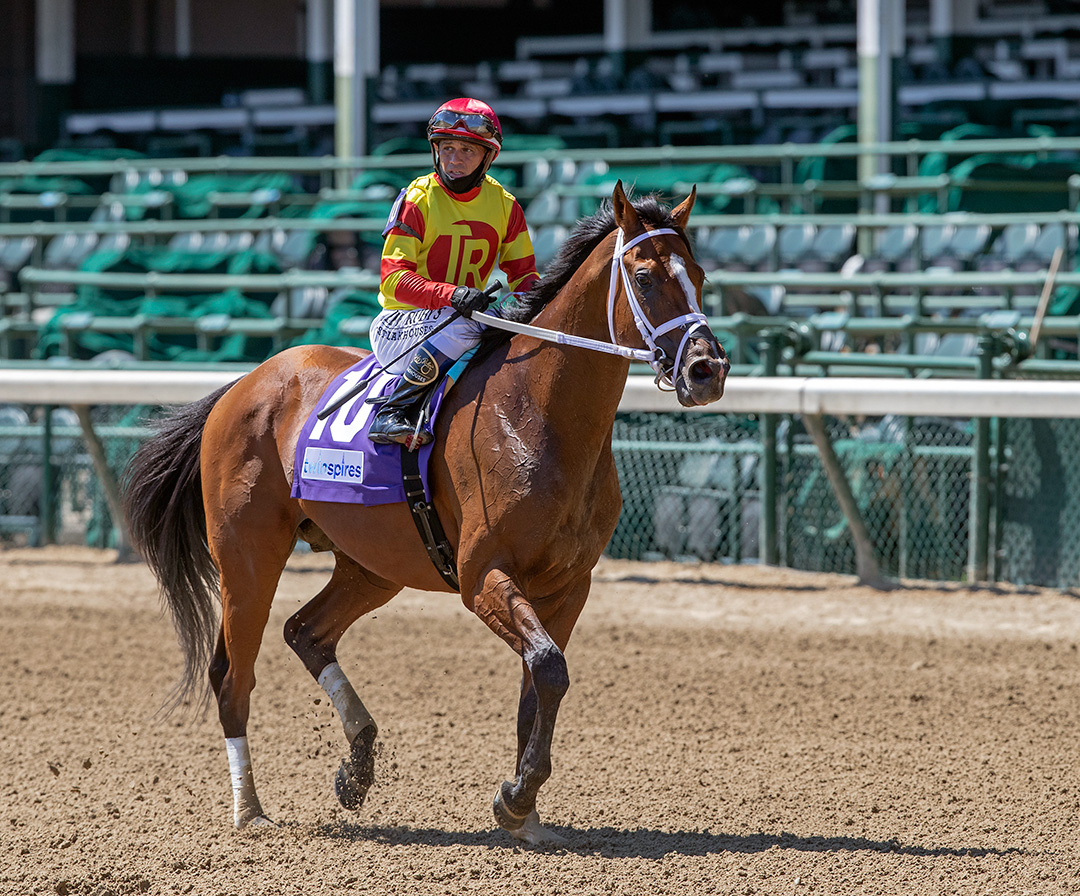 Bodexpress after finishing second in a Sept. 5 allowance at Churchill Downs