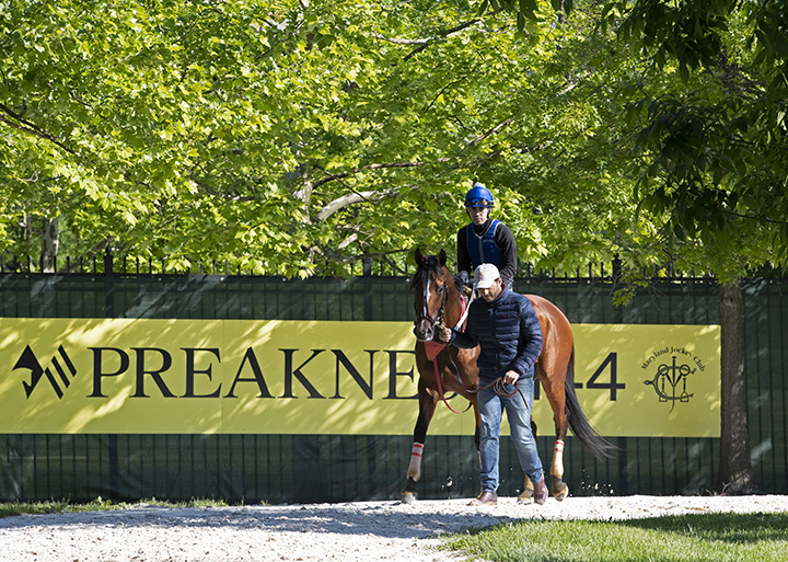 Bodexpress at Pimlico Race Course on May 15