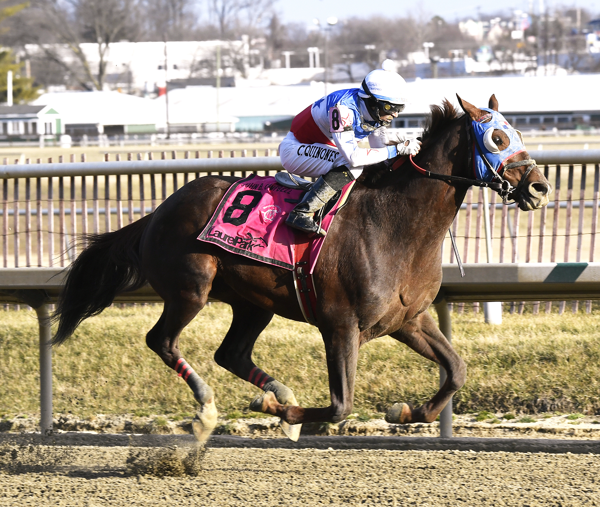 Bodhisattva wins the John B. Campbell Stakes