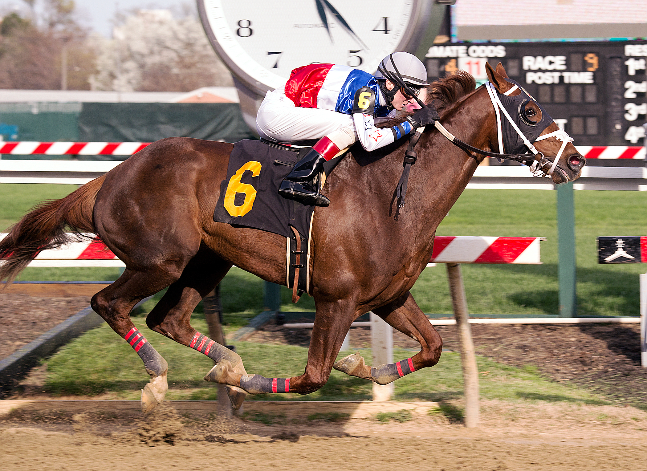 Bodhisattva wins the Federico Tesio