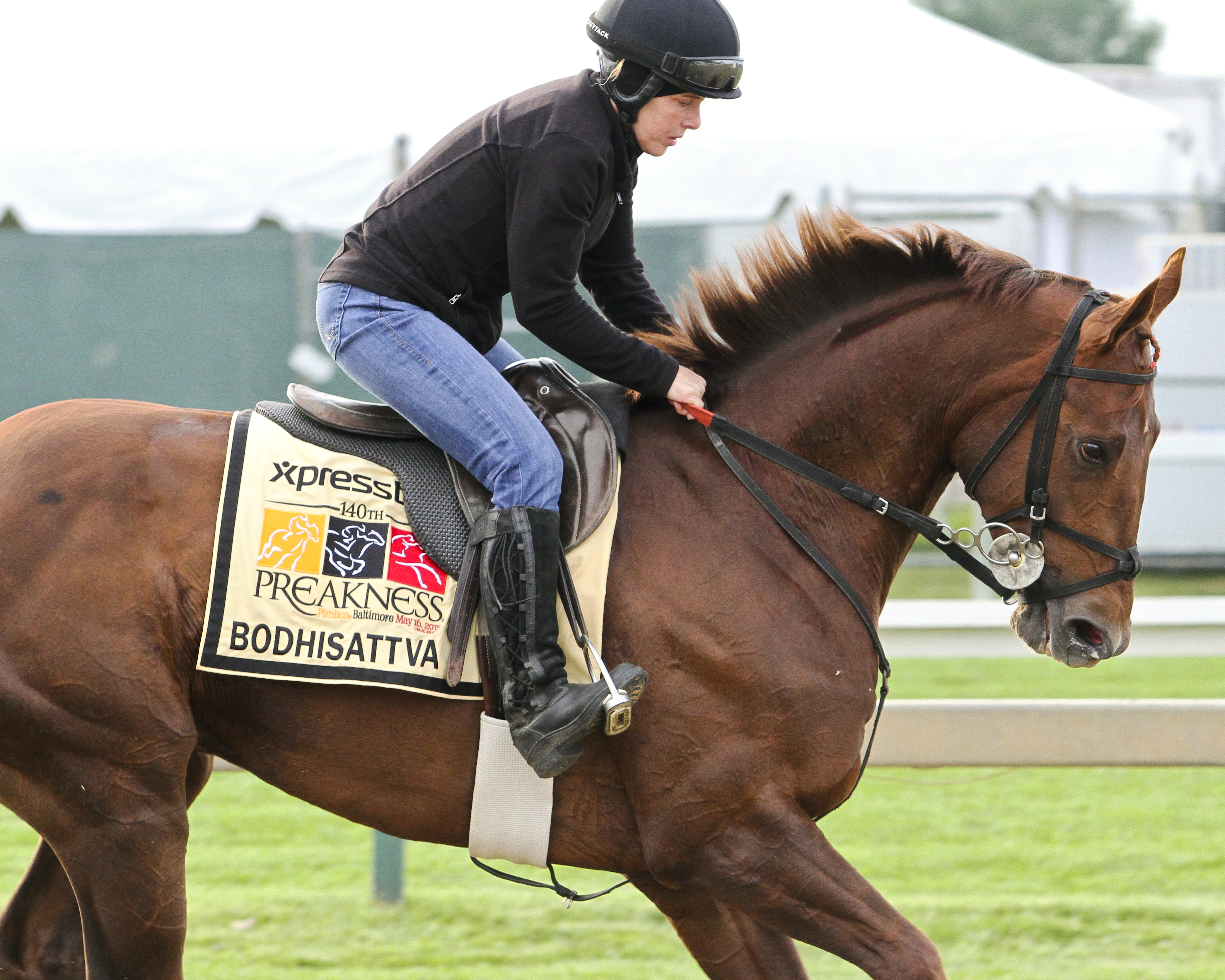 Bodhisattva trains at Pimlico on May 15