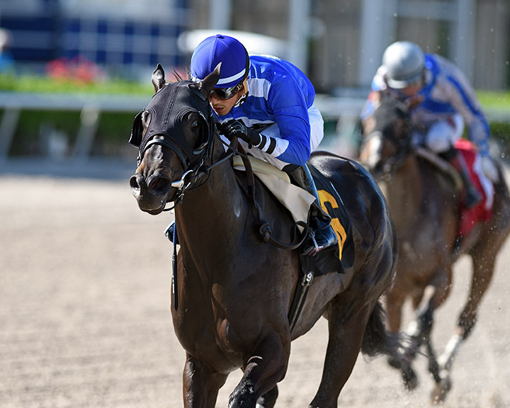 Boerne wins an allowance race at Gulfstream Park on May 3