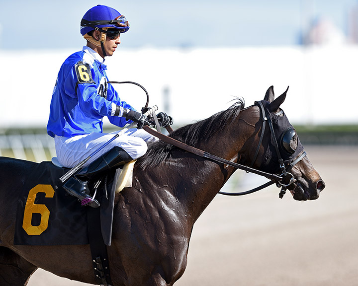 Boerne at Gulfstream Park on May 3